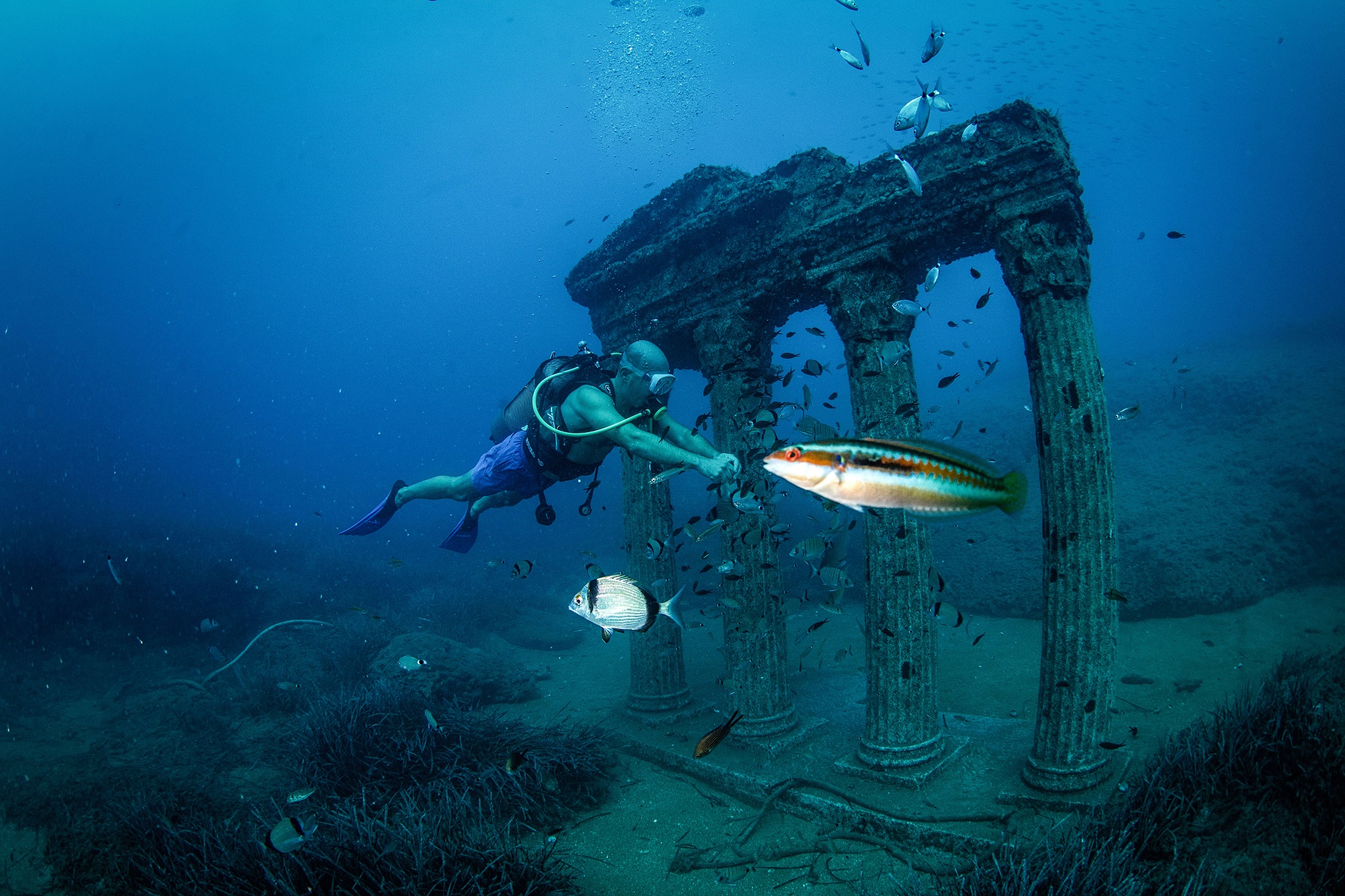 20191104_2_39142015_49140664