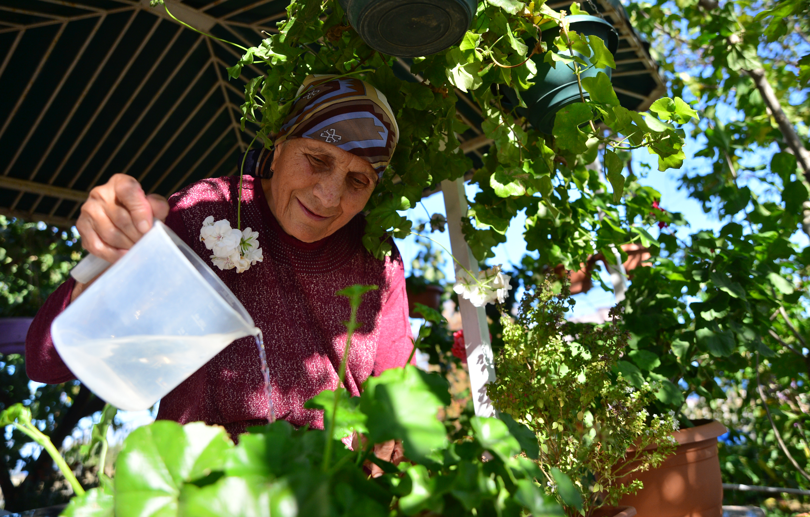 20191117_2_39361749_49539838