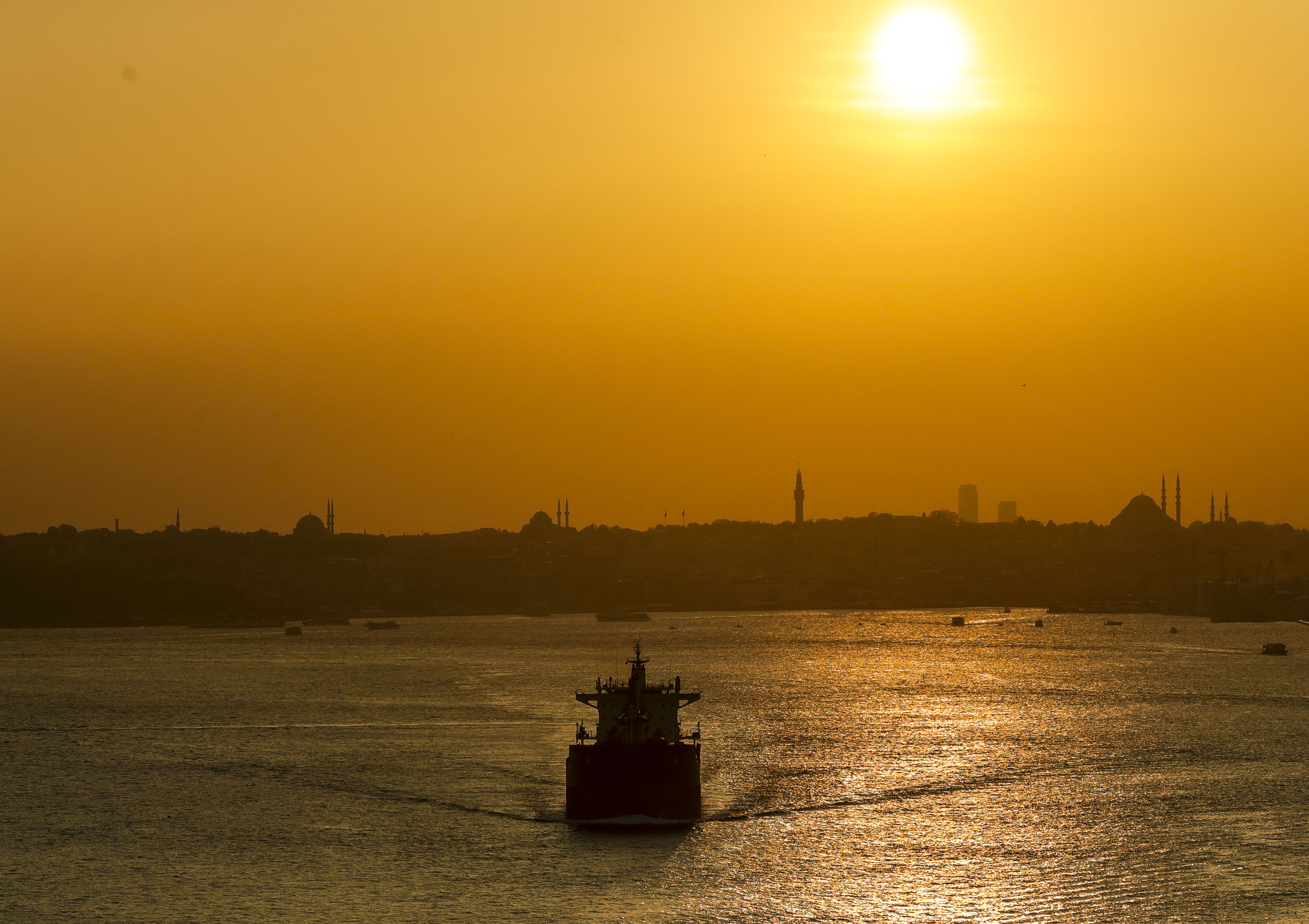 20191124_2_39493105_49758887