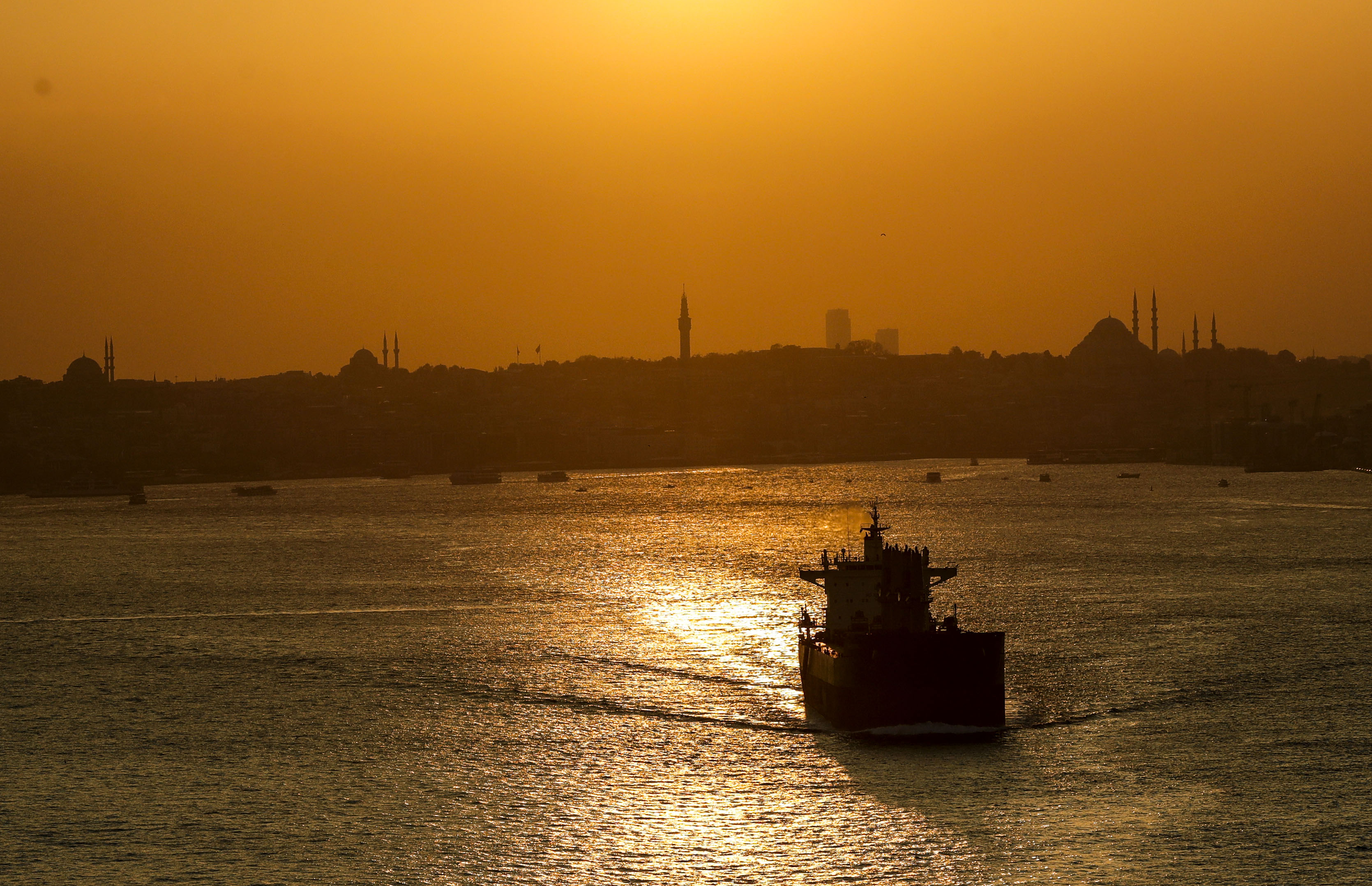 20191124_2_39493105_49758888