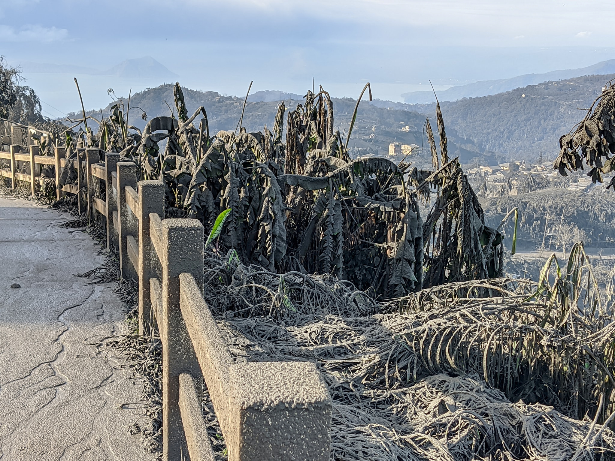 JEROME AUSTRIA ABUAN /via REUTERS