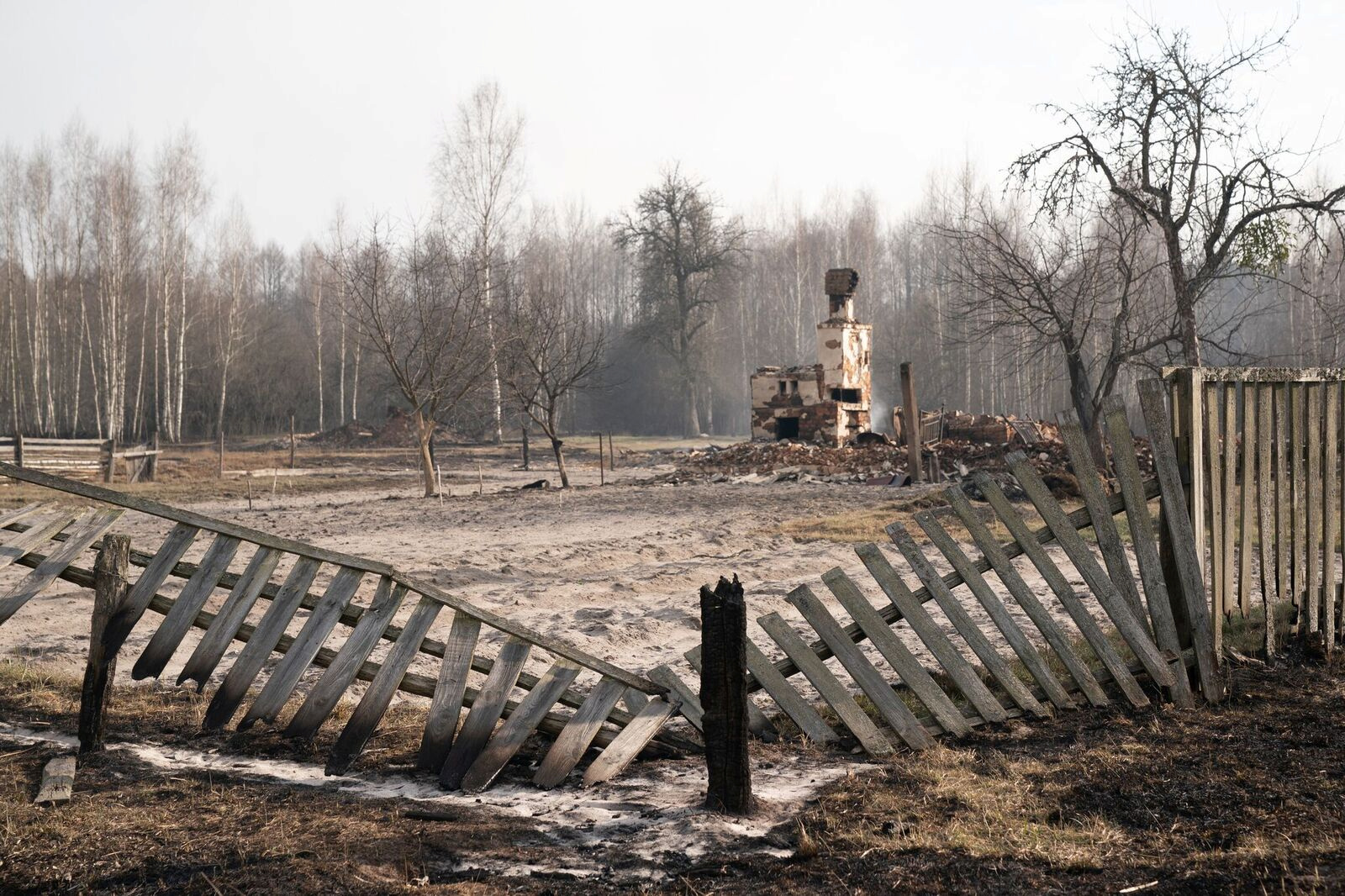 2020-04-19t084609z-1482831591-rc2k7g920q03-rtrmadp-3-ukraine-chernobyl-fire-more-290295.jpeg