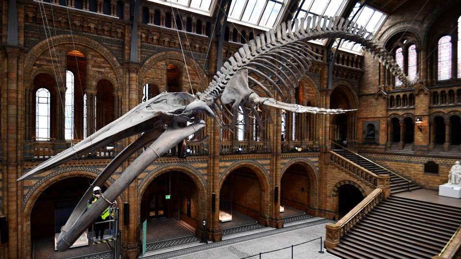 2020-07-28T053824Z_1336607847_RC252I9RVIA3_RTRMADP_3_HEALTH-CORONAVIRUS-BRITAIN-MUSEUM