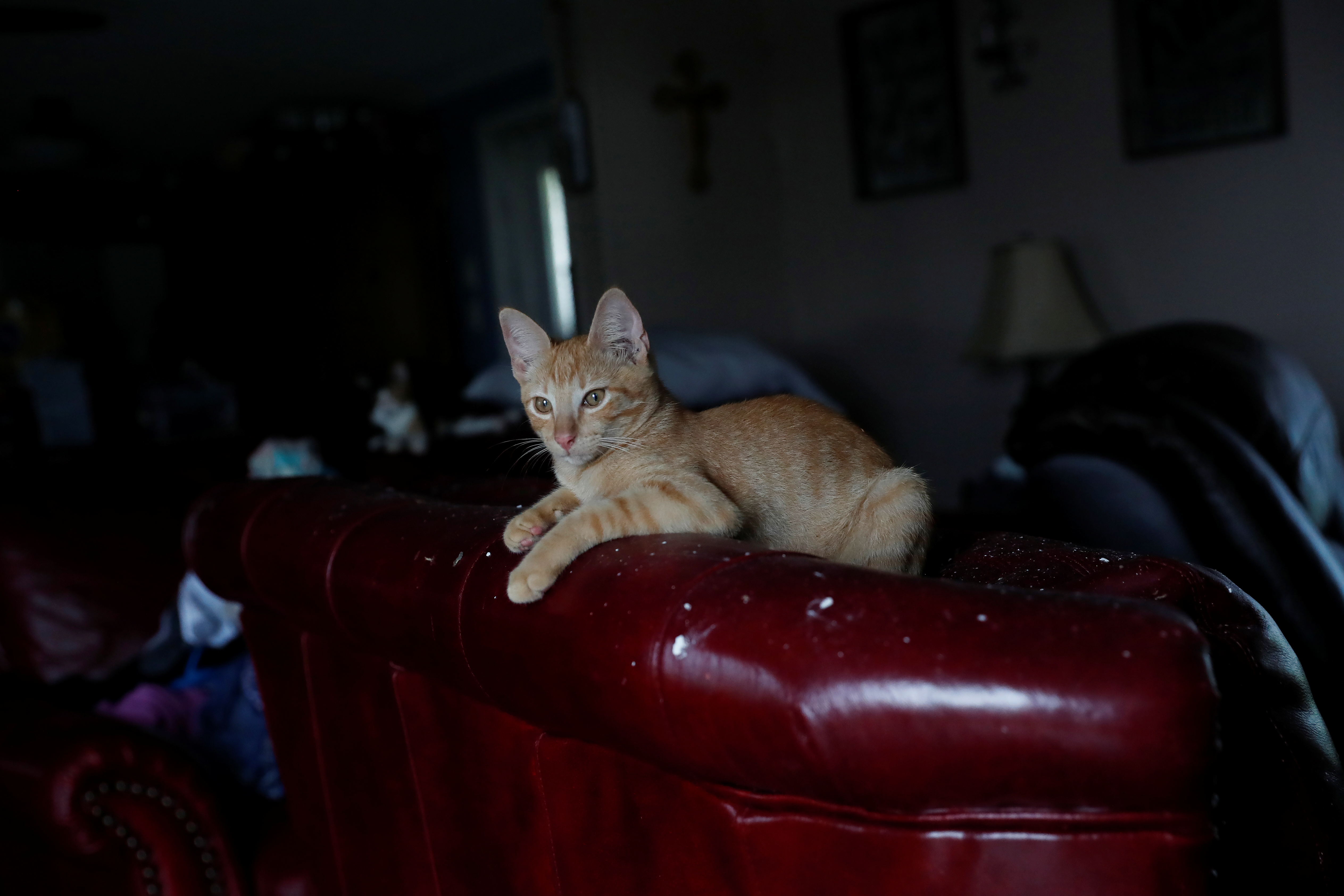 2020-08-28T162607Z_1086571571_RC24NI9QCZC8_RTRMADP_3_STORM-LAURA