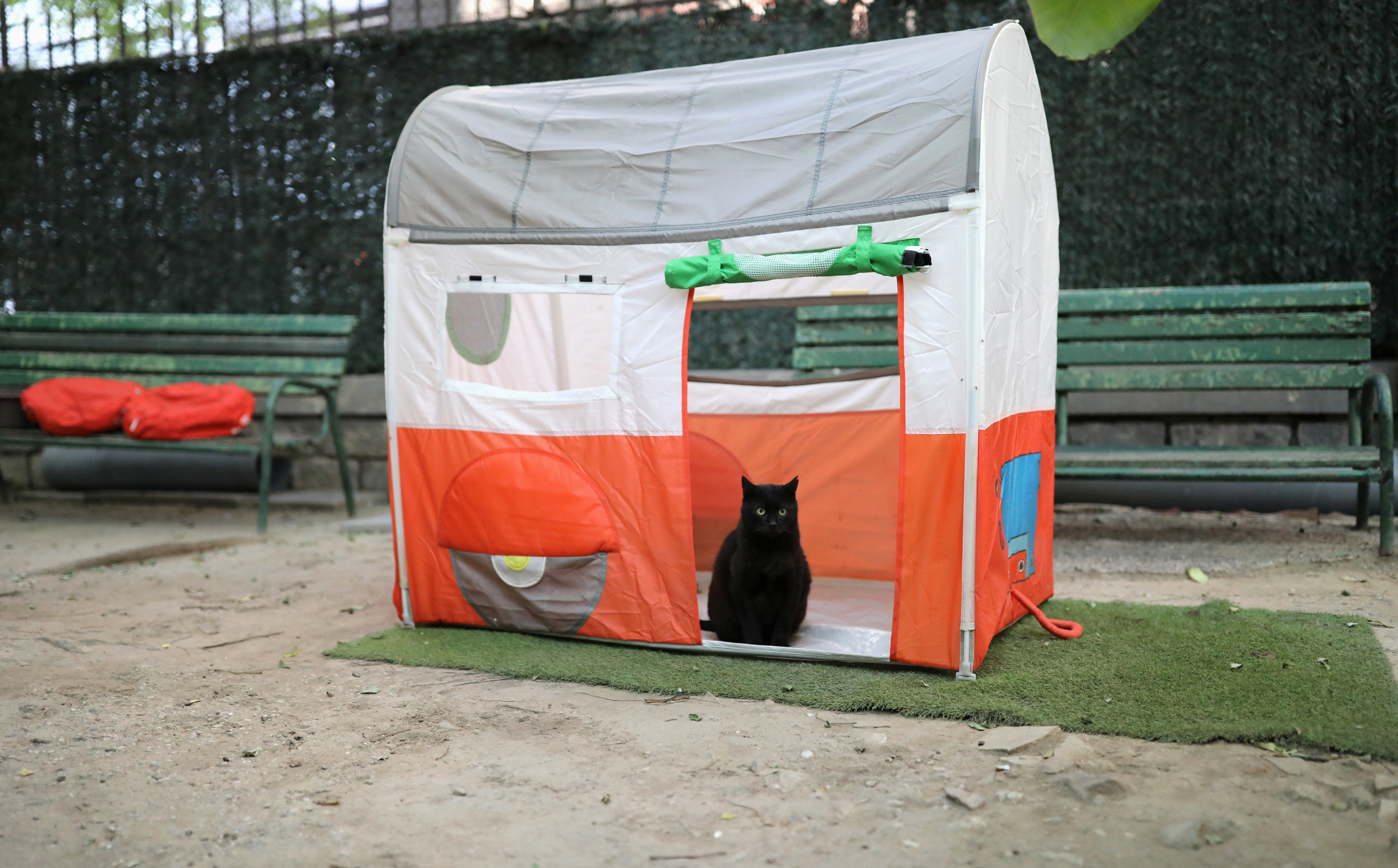 REUTERS/Nacho Doce TPX IMAGES OF THE DAY