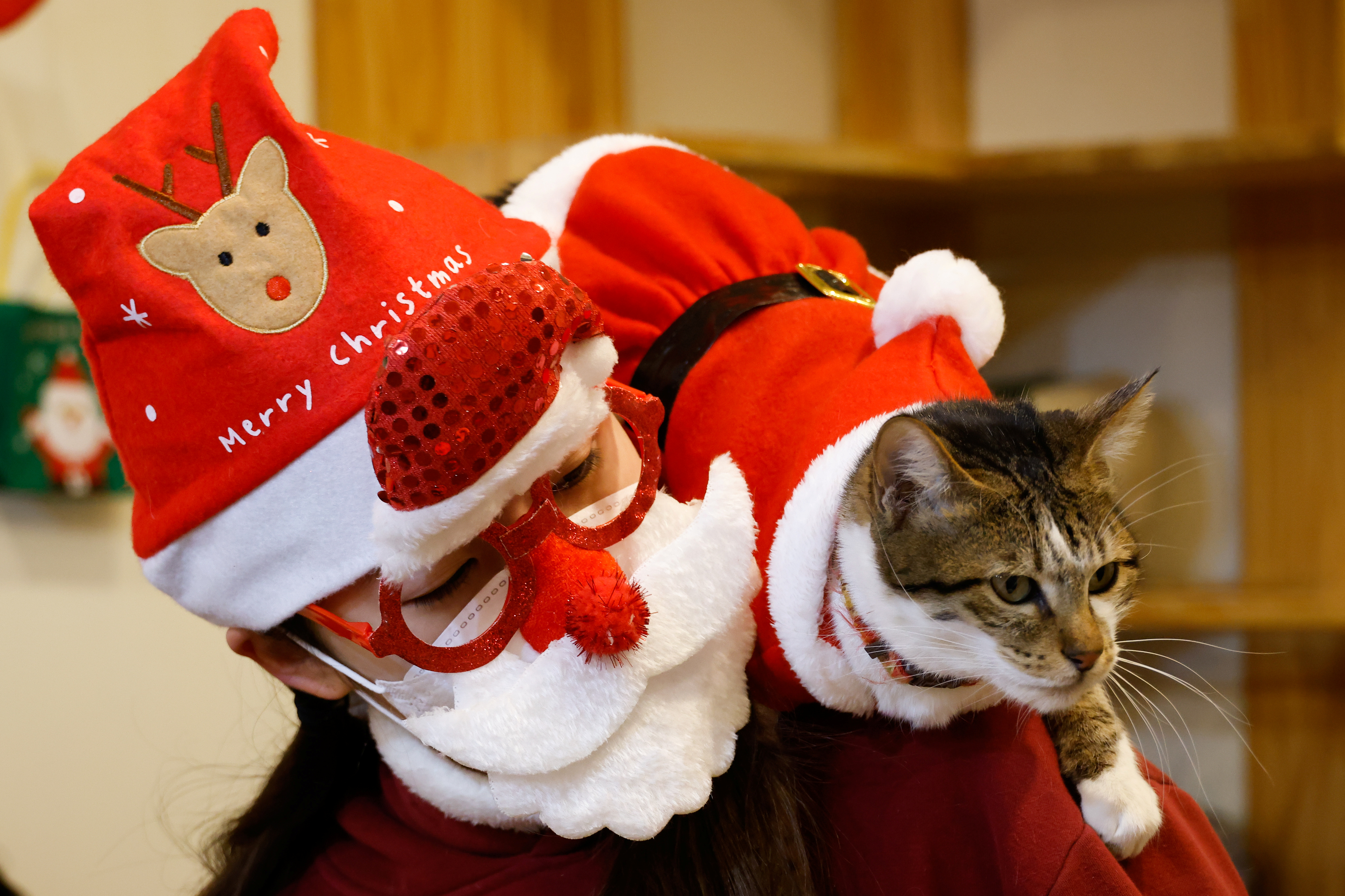 2020-12-15T041211Z_1107710966_RC2GNK9B2MPN_RTRMADP_3_CHRISTMAS-SEASON-SOUTHKOREA-CATS