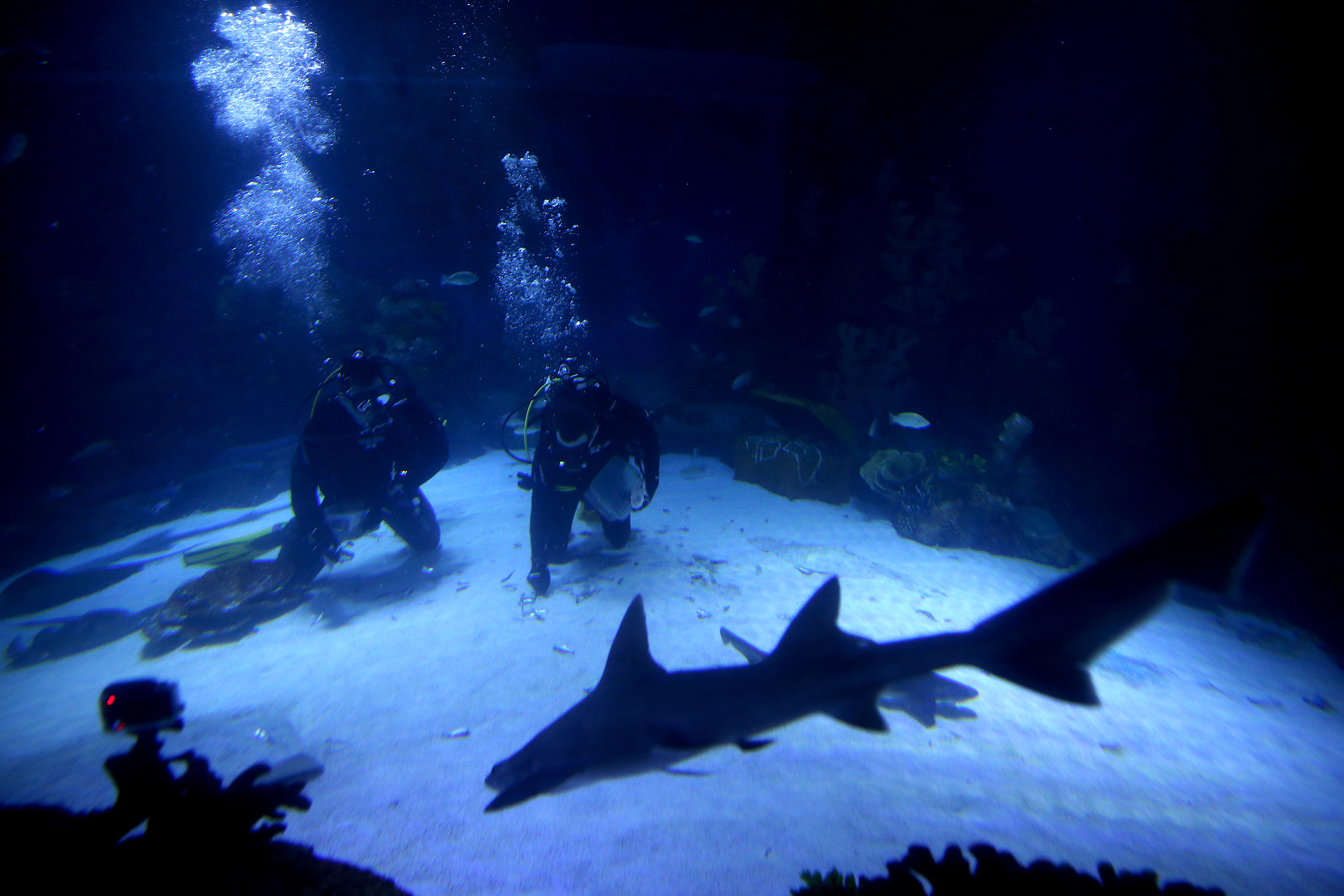 20200104_2_40160238_50913987