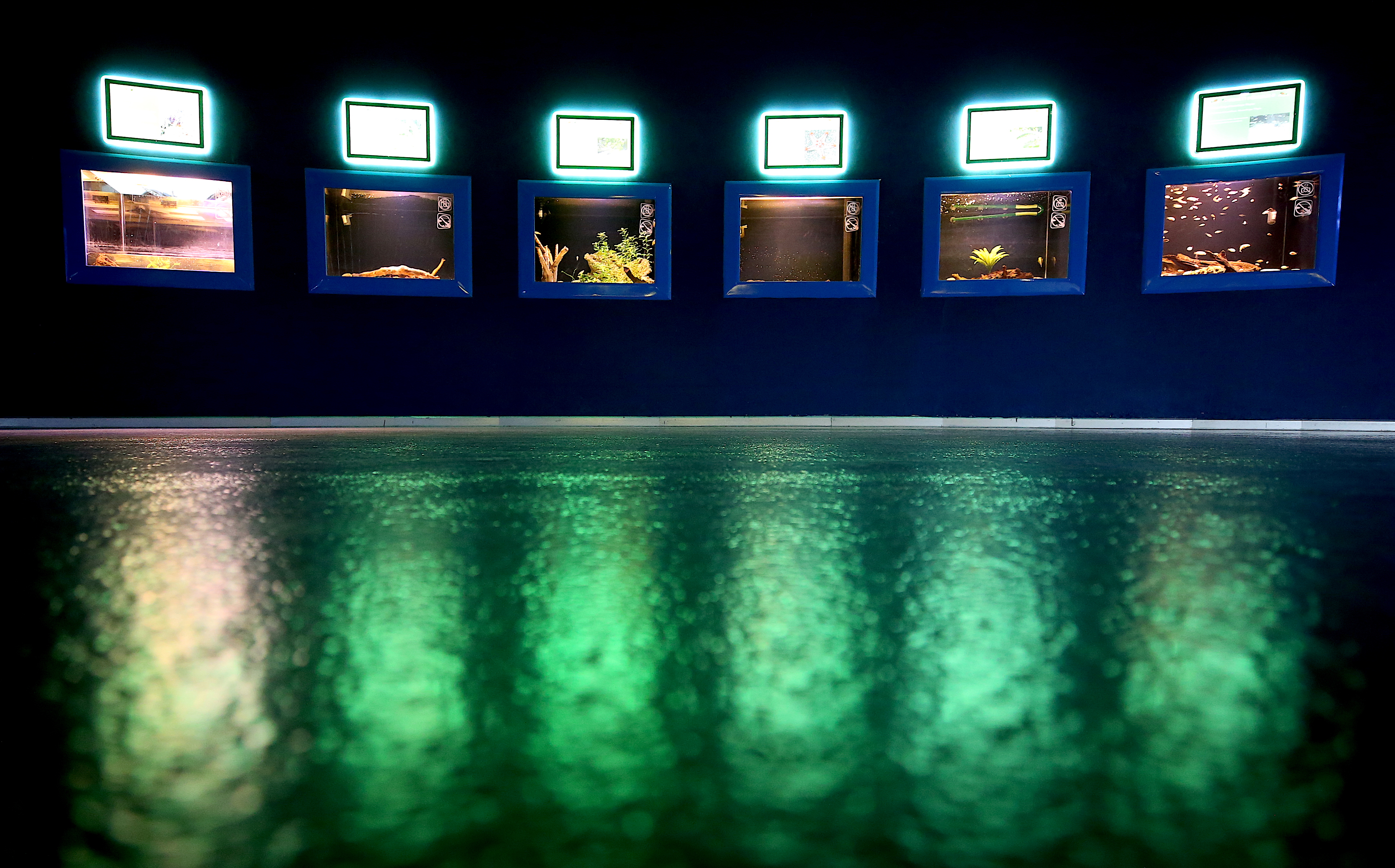 20200104_2_40160238_50913996