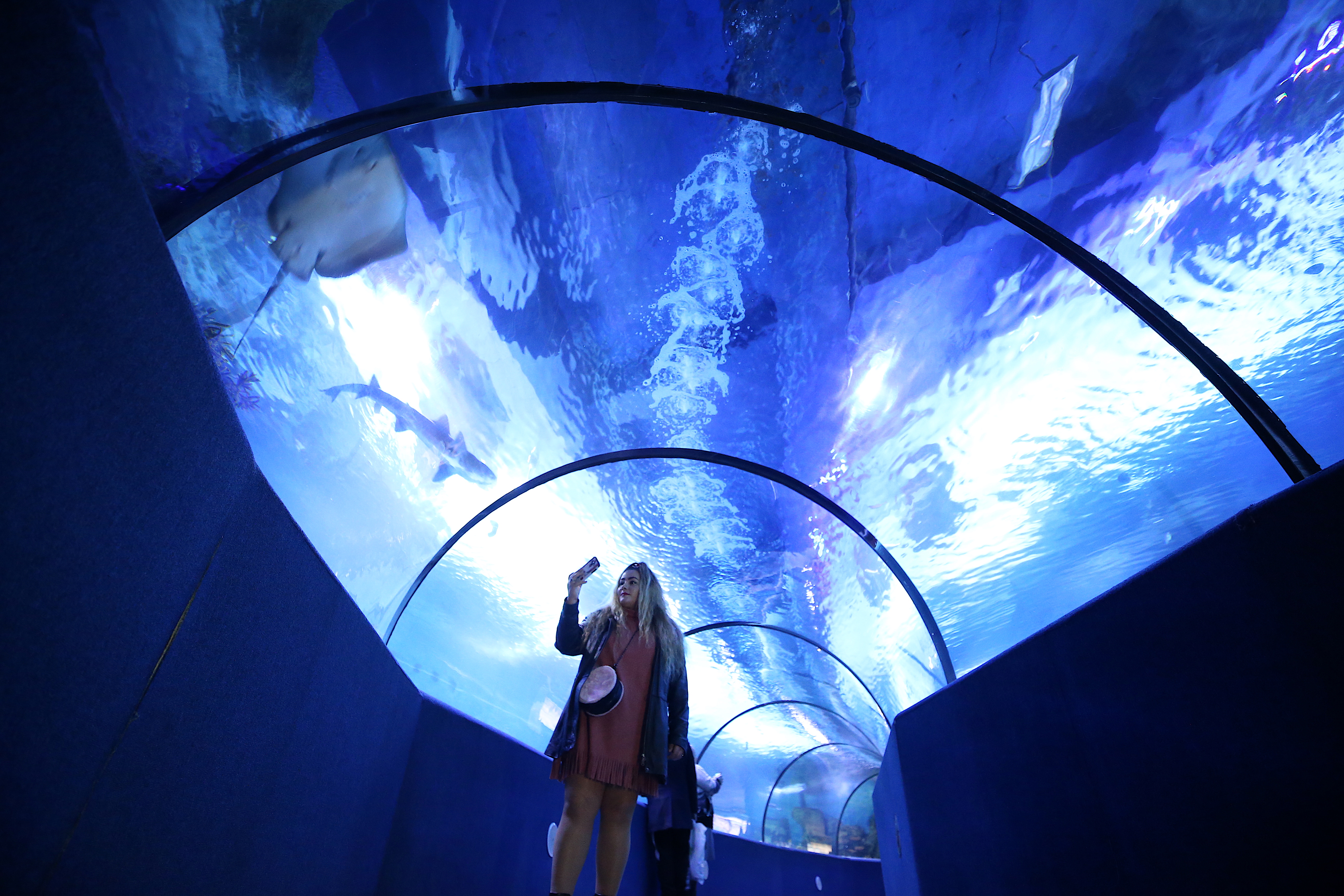 20200104_2_40160238_50913997