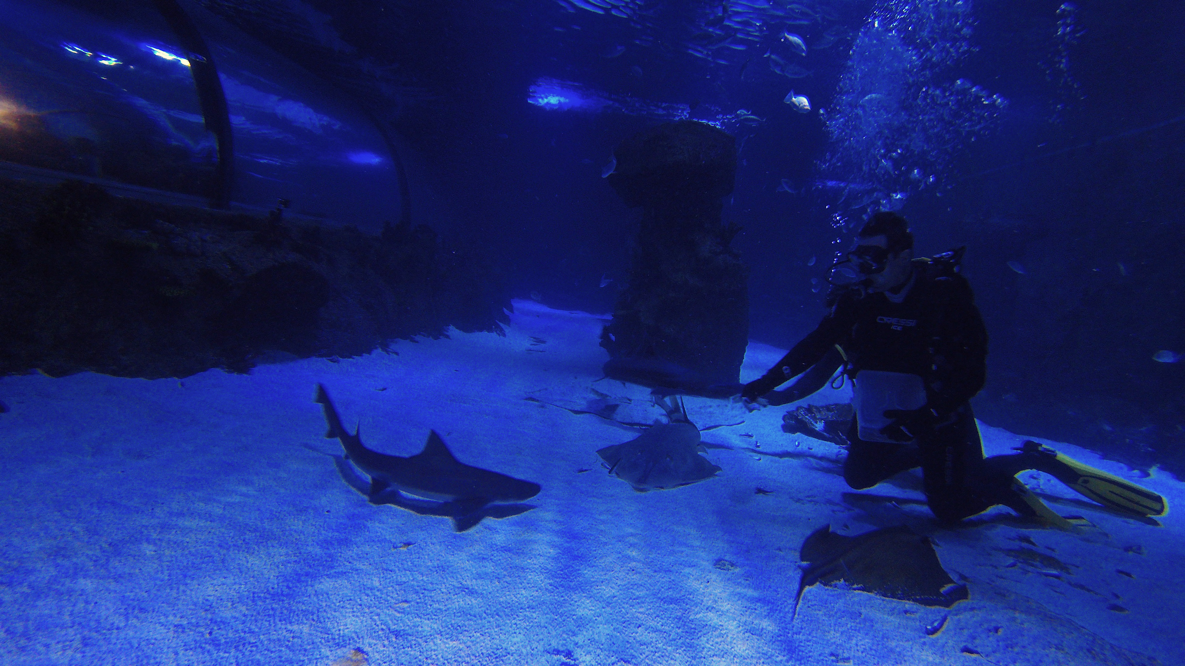 20200104_2_40160238_50913998