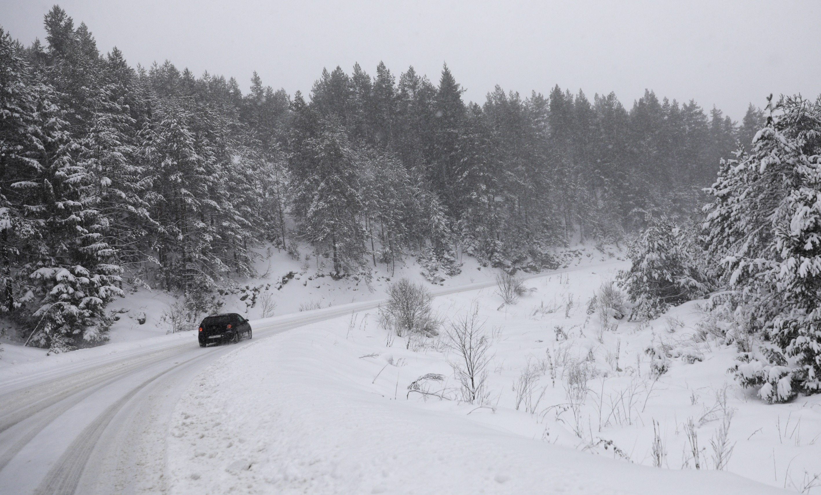 20200205_2_40691625_51850040