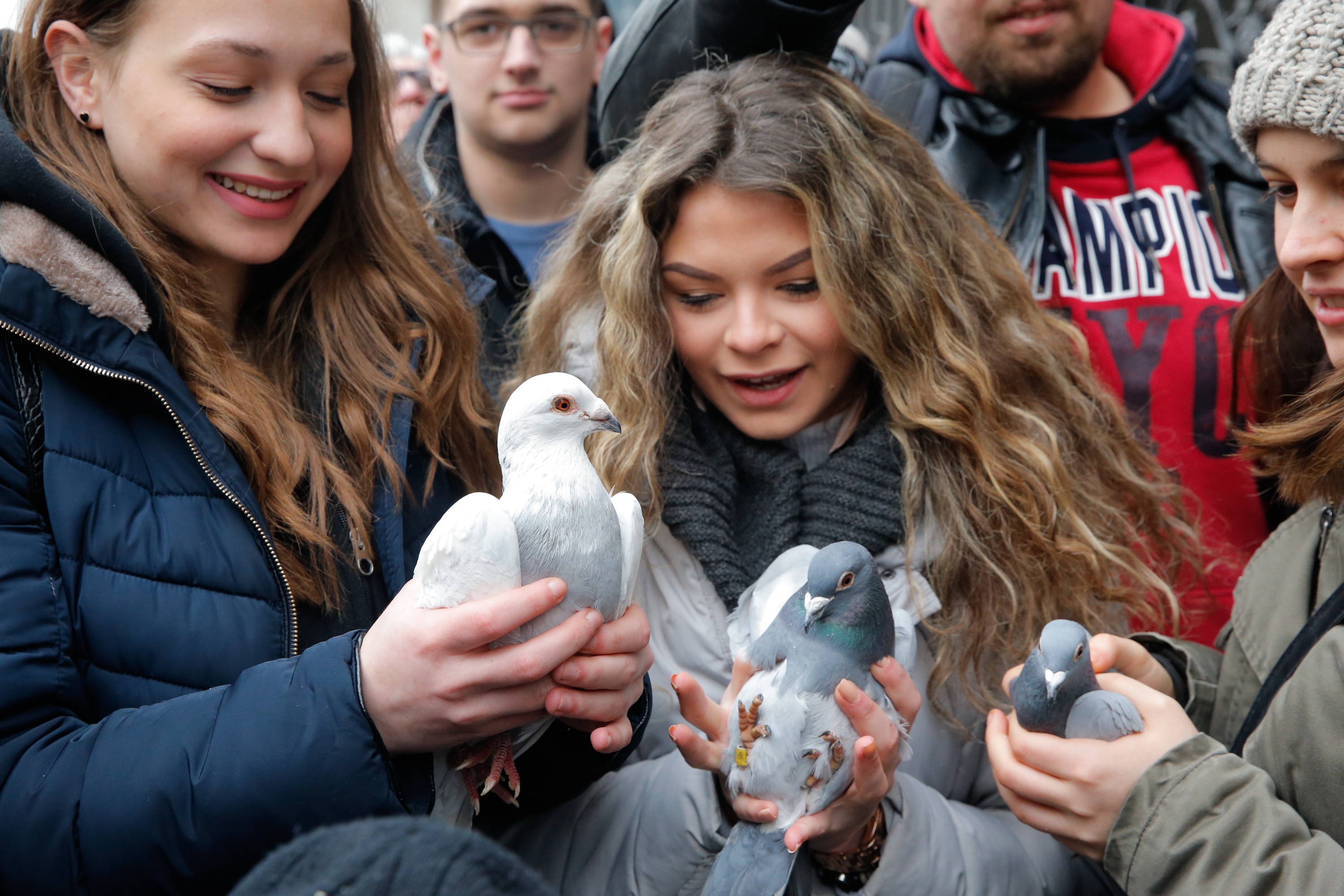 20200207_2_40726283_51912457