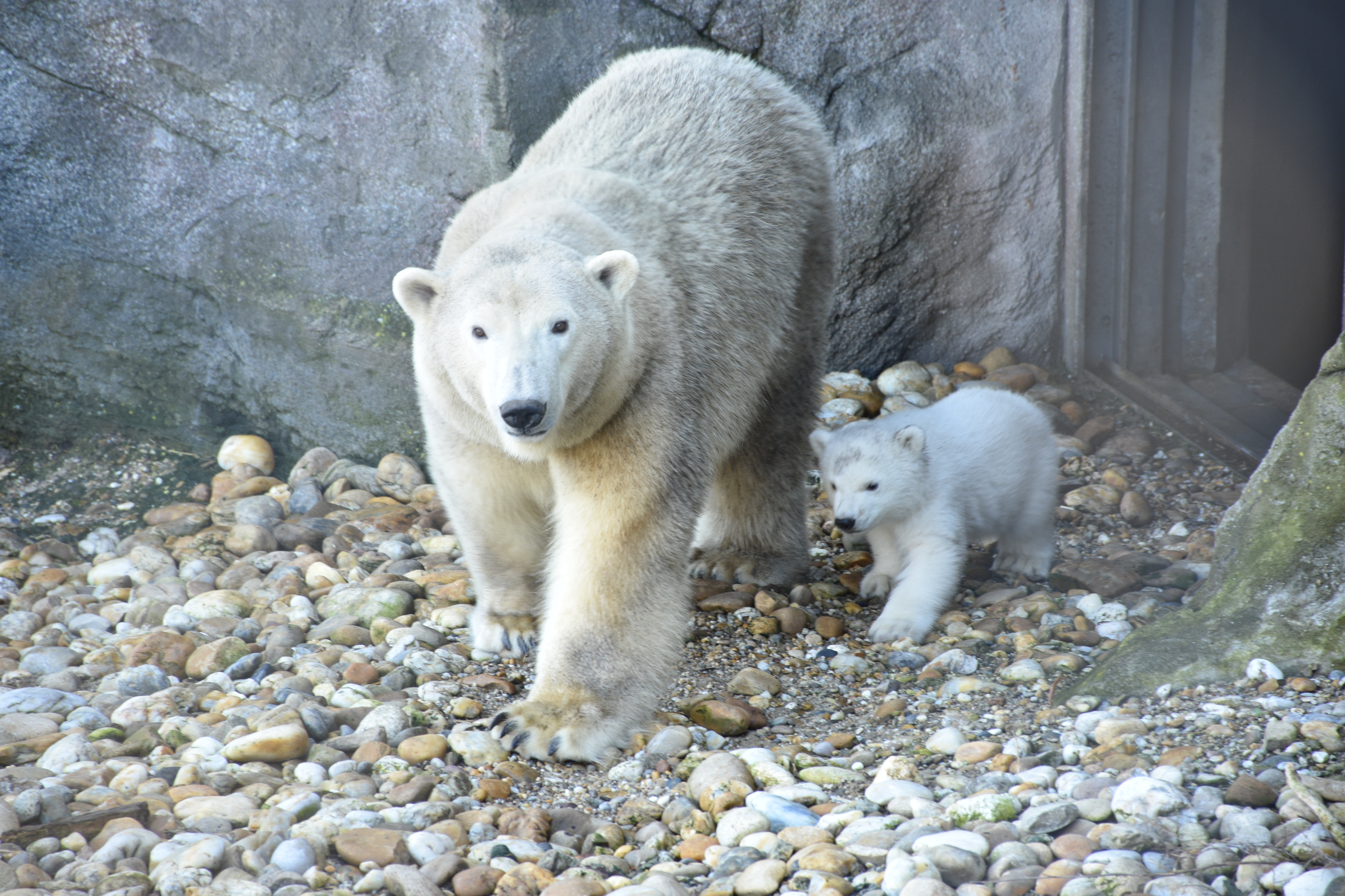 20200213_2_40834756_52124547