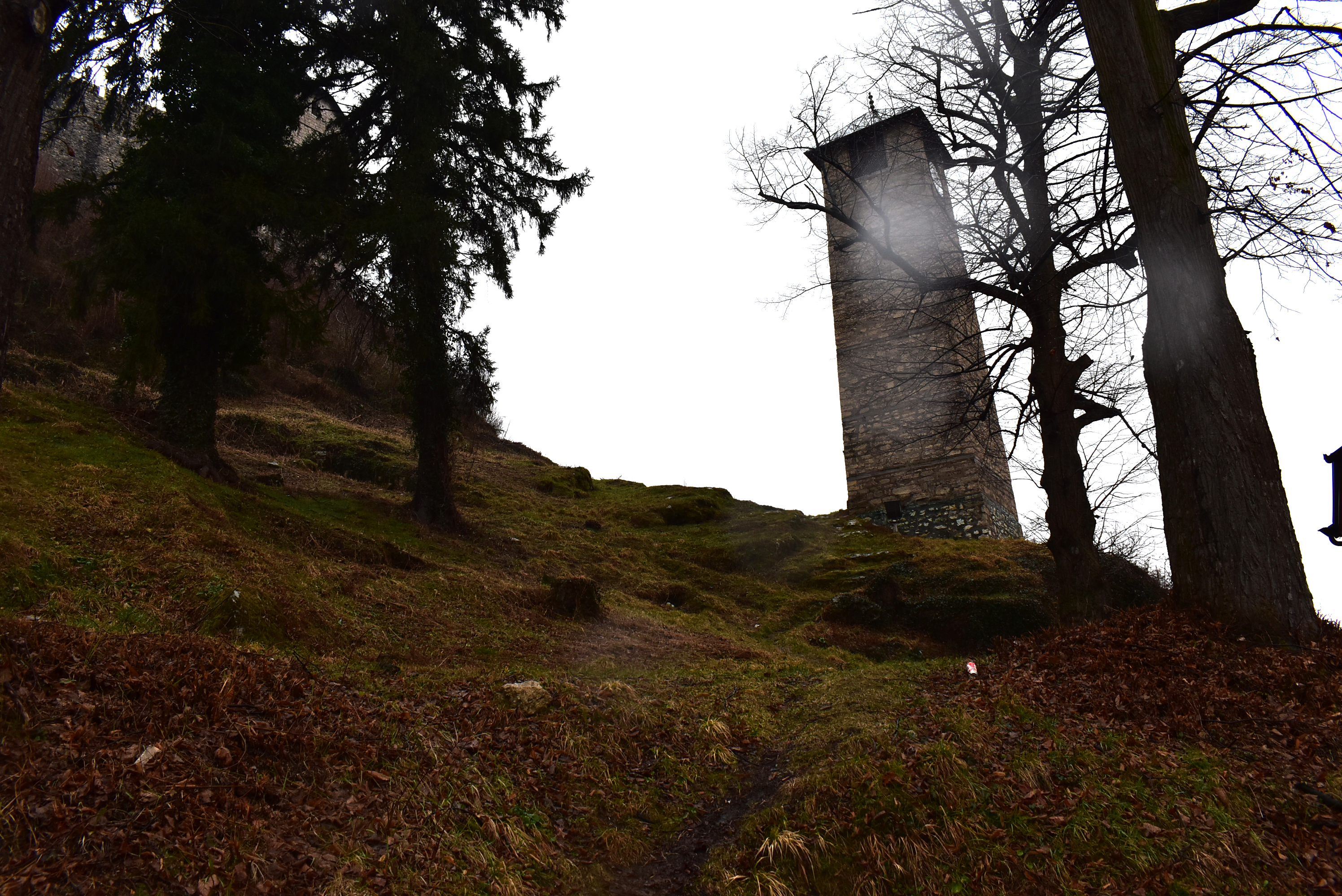 20200216_2_40872348_52204978