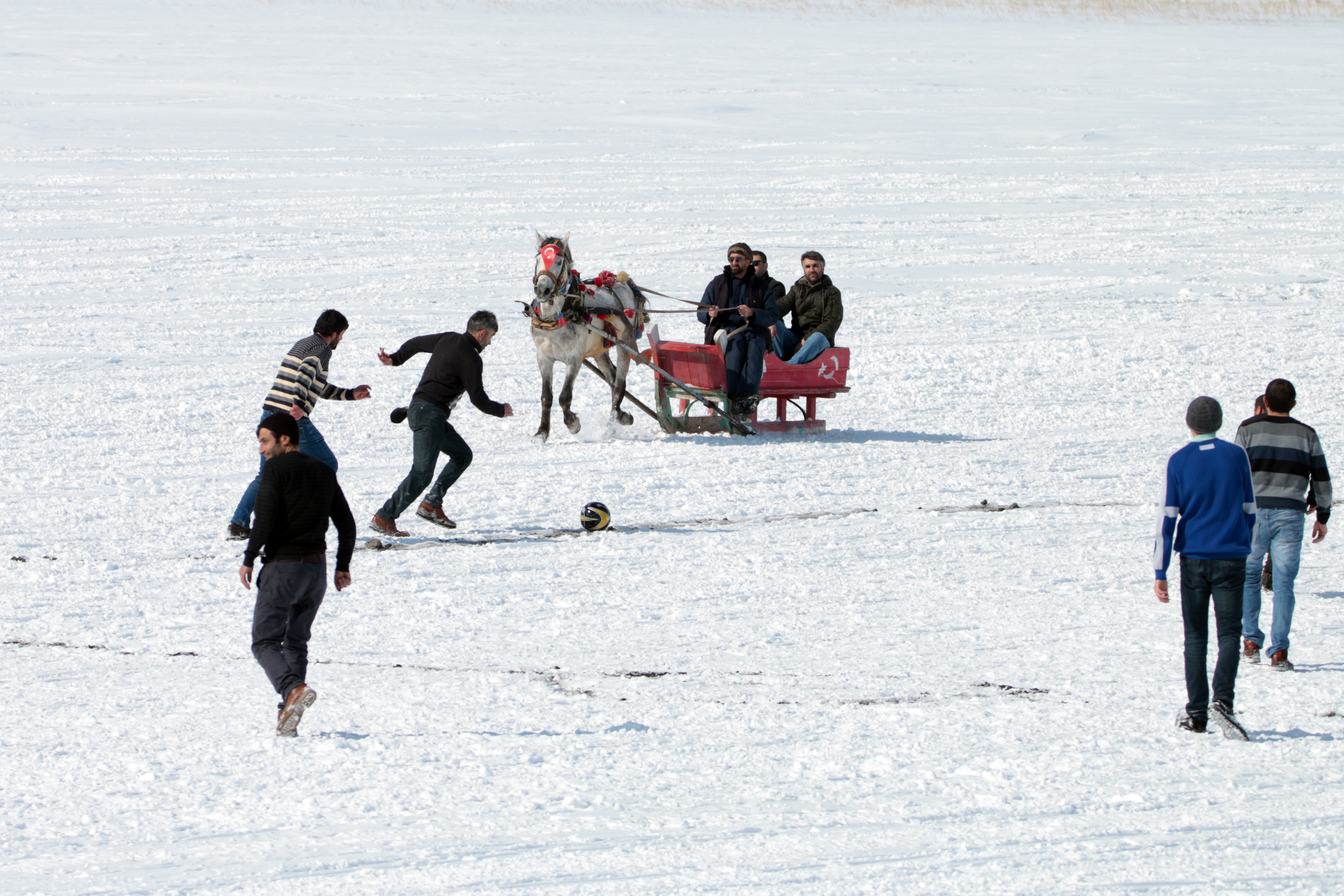 20200218_2_40903905_52268537