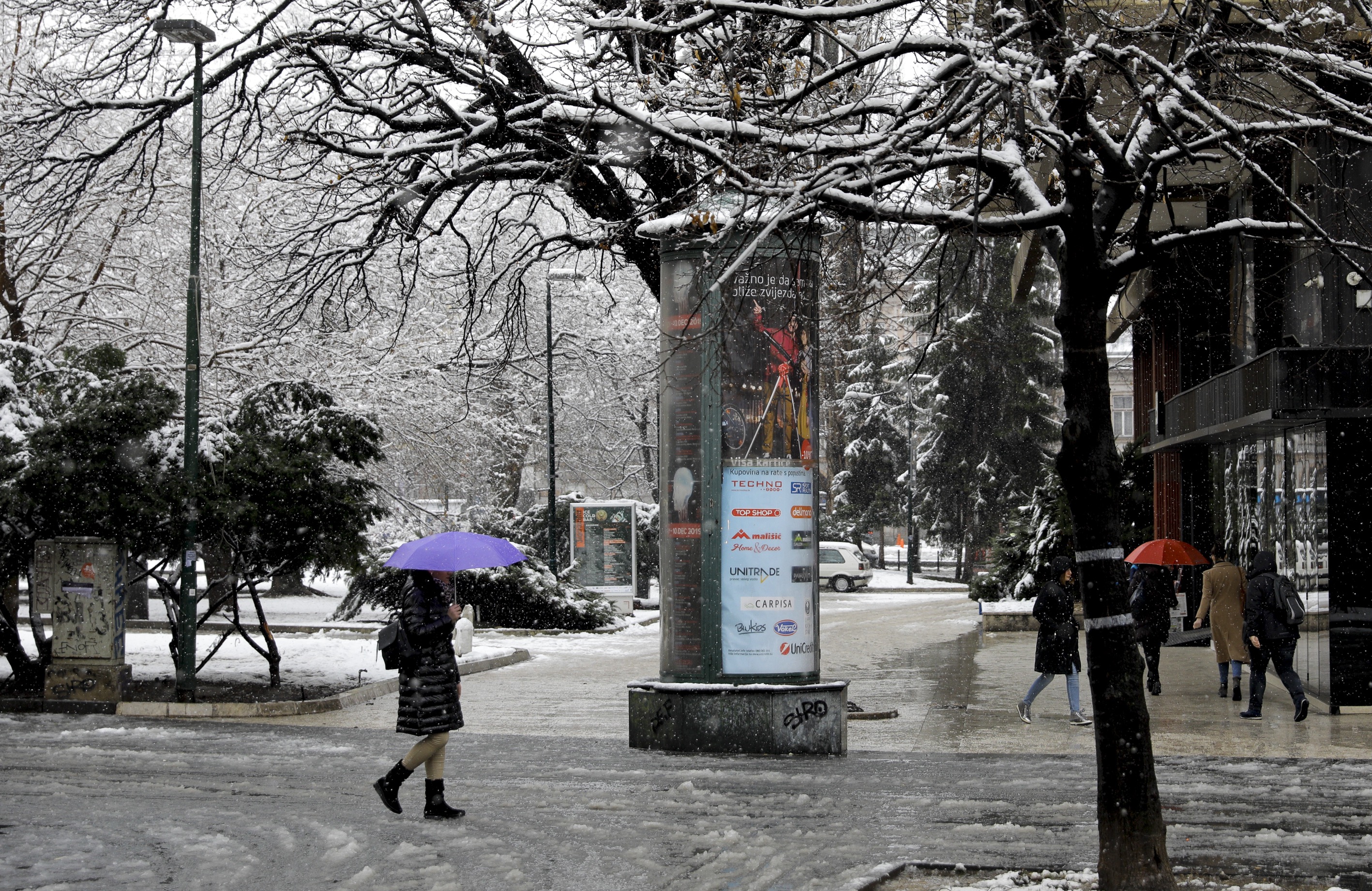 20200227_2_41061571_52548659