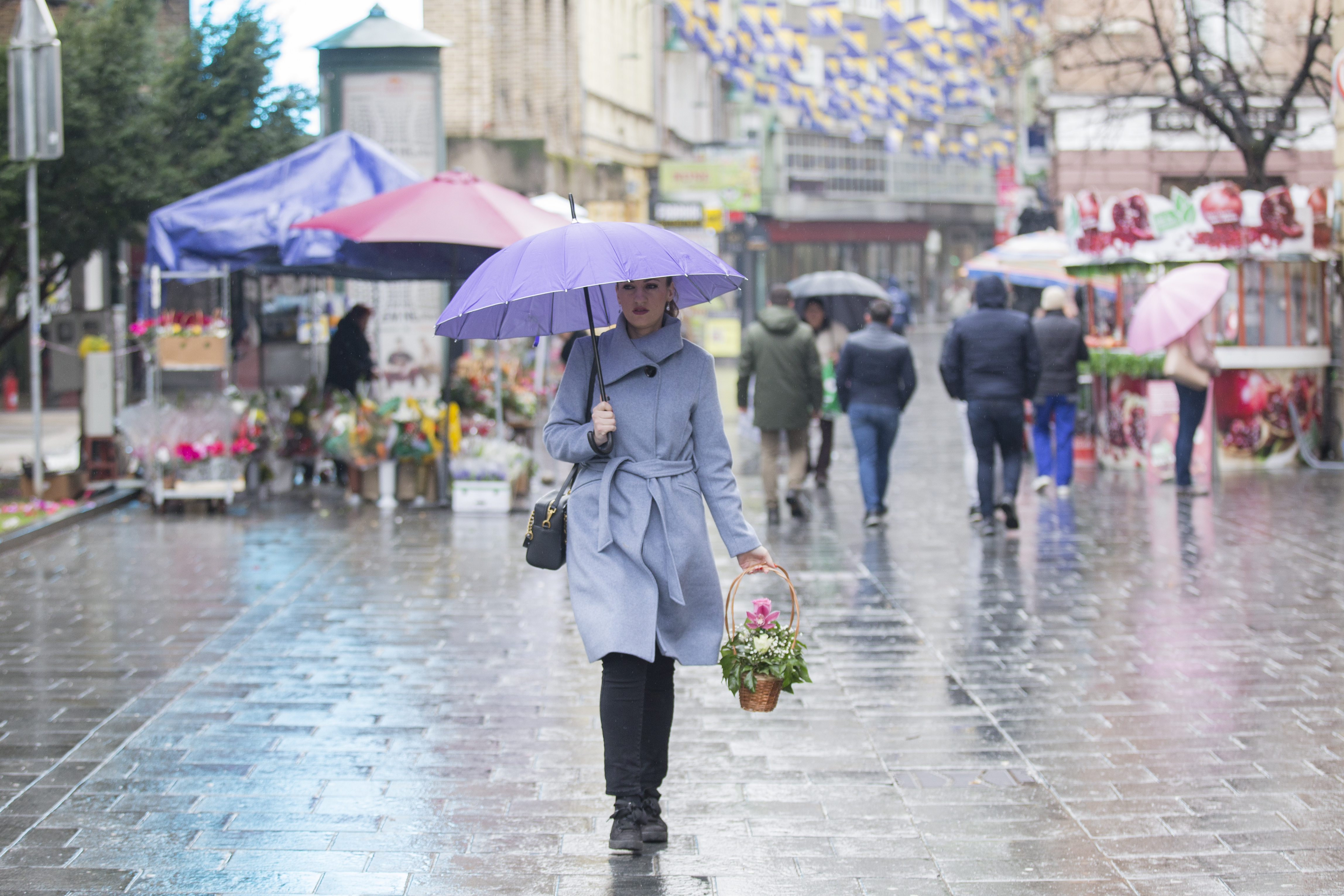 20200308_2_41248445_52890661