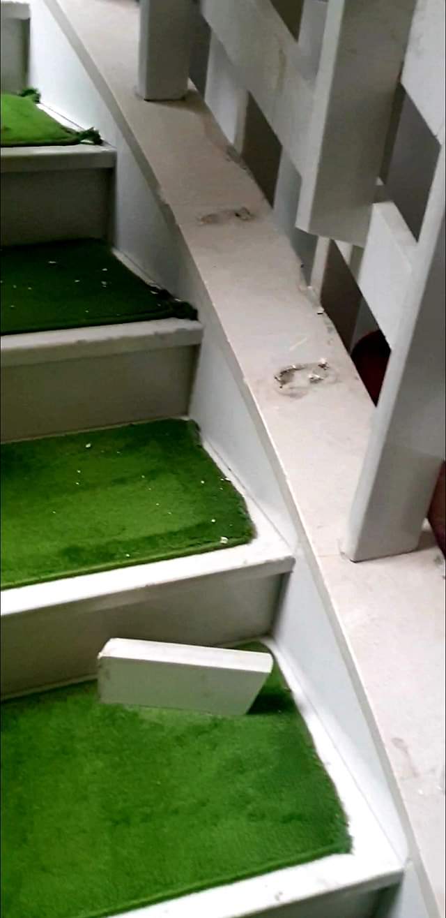 20200322_2_41496047_53306929