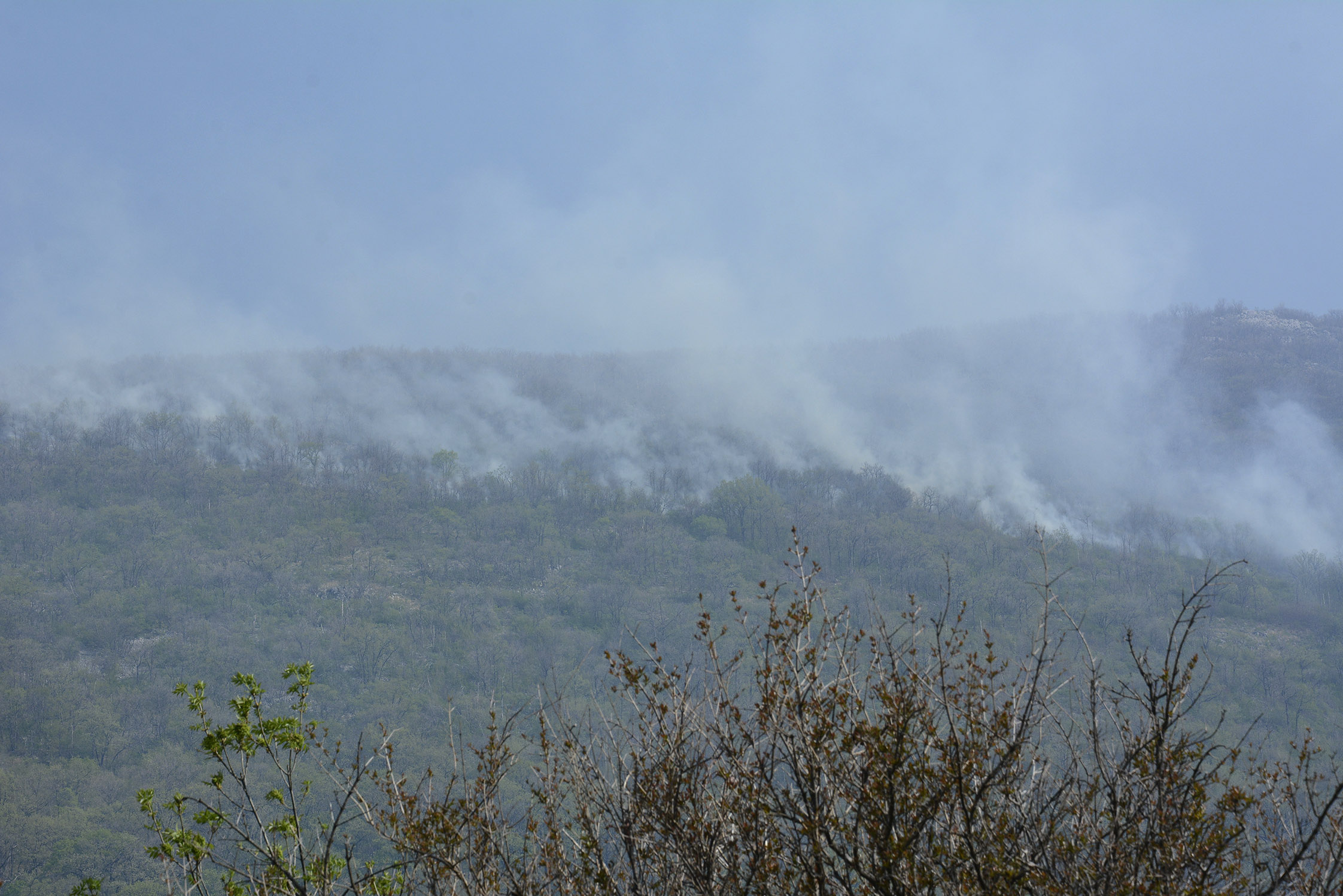 20200410_2_41827244_53809370