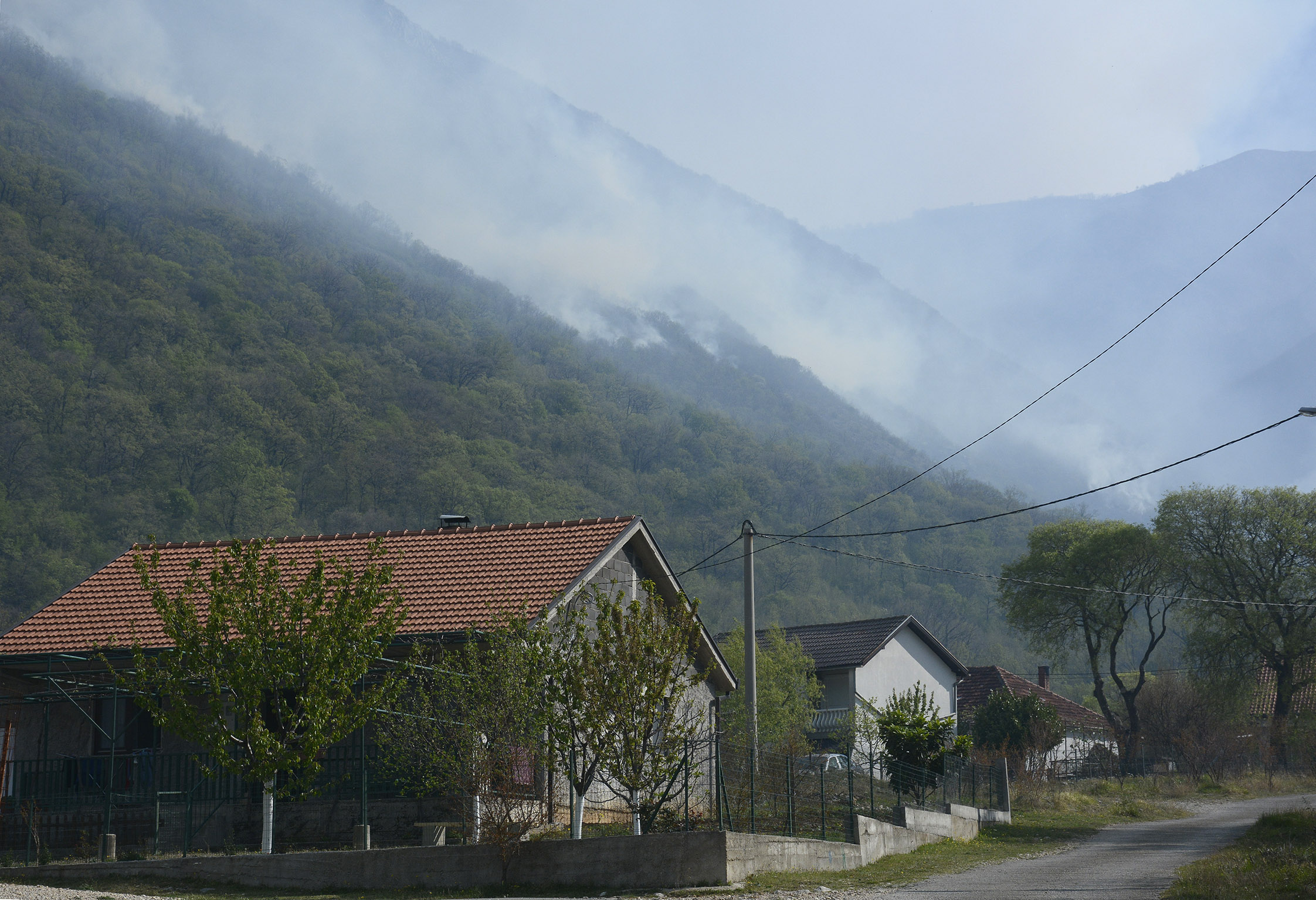 20200410_2_41827244_53809374