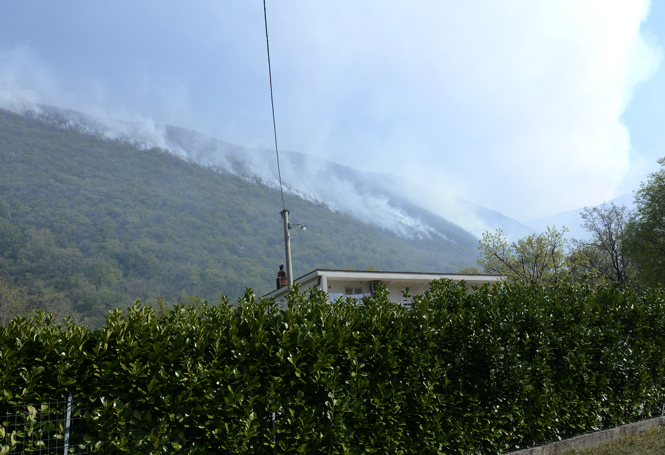 20200410_2_41827244_53809375