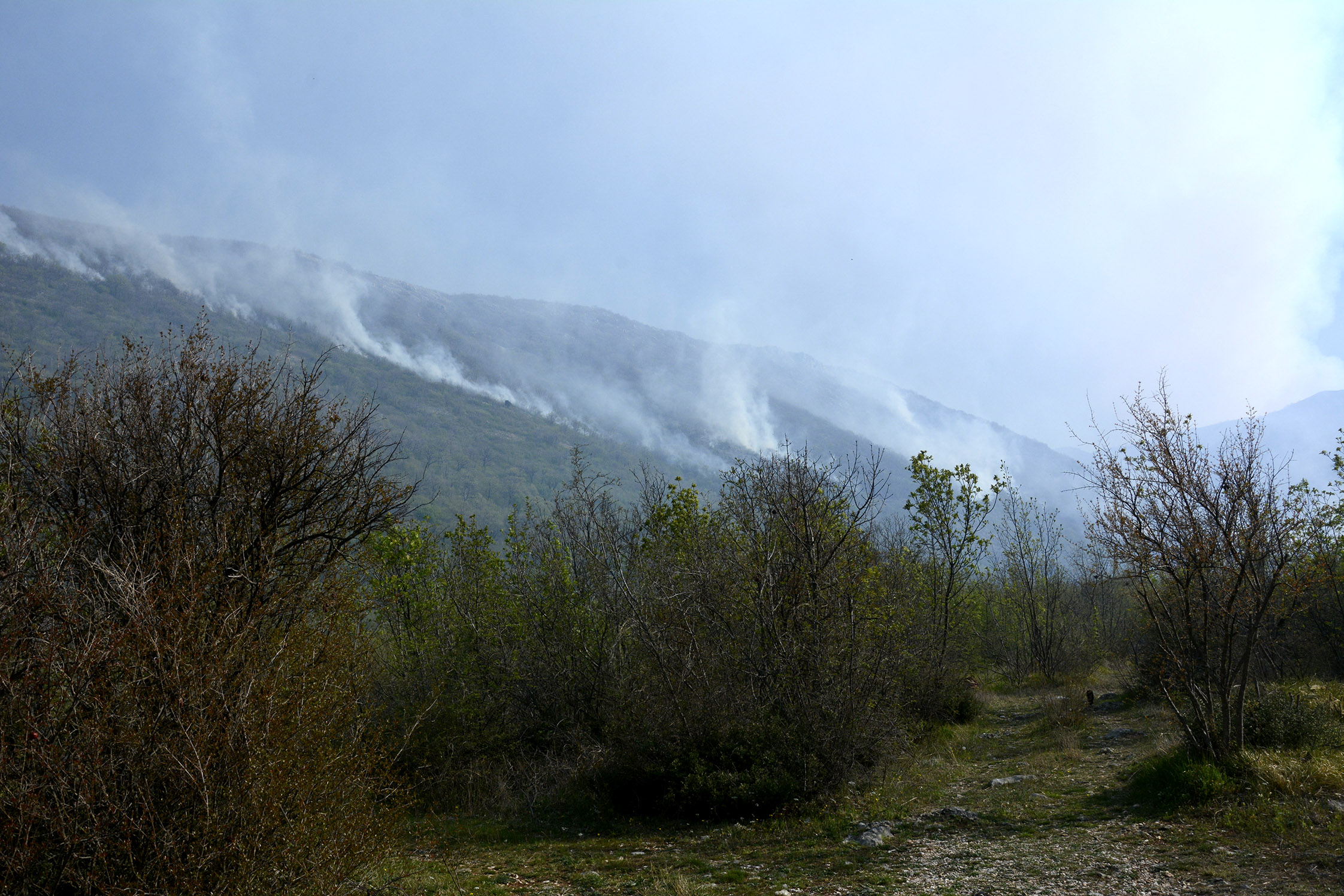 20200410_2_41827244_53809376