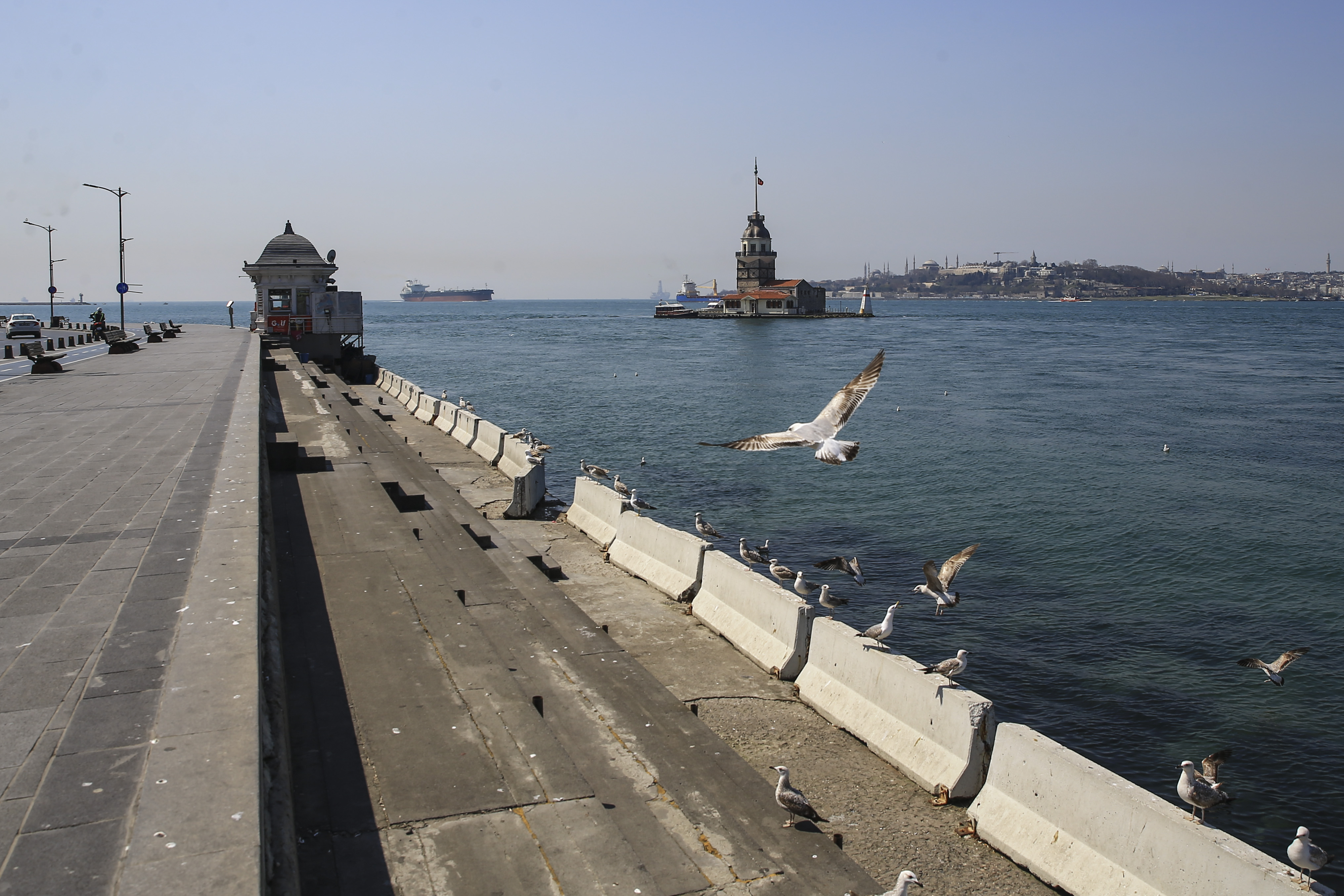 20200410_2_41829843_53813490