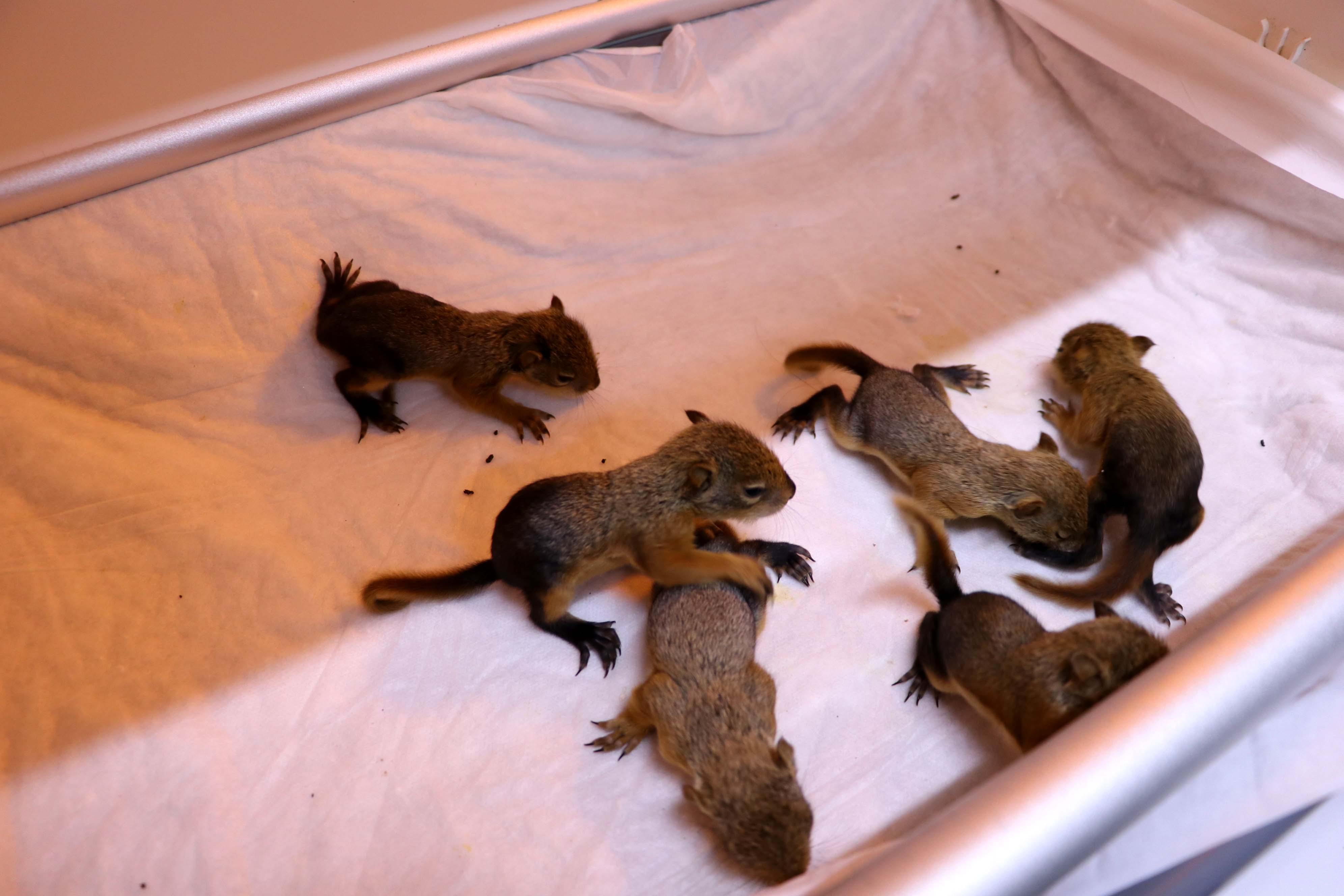 20200413_2_41874729_53904536