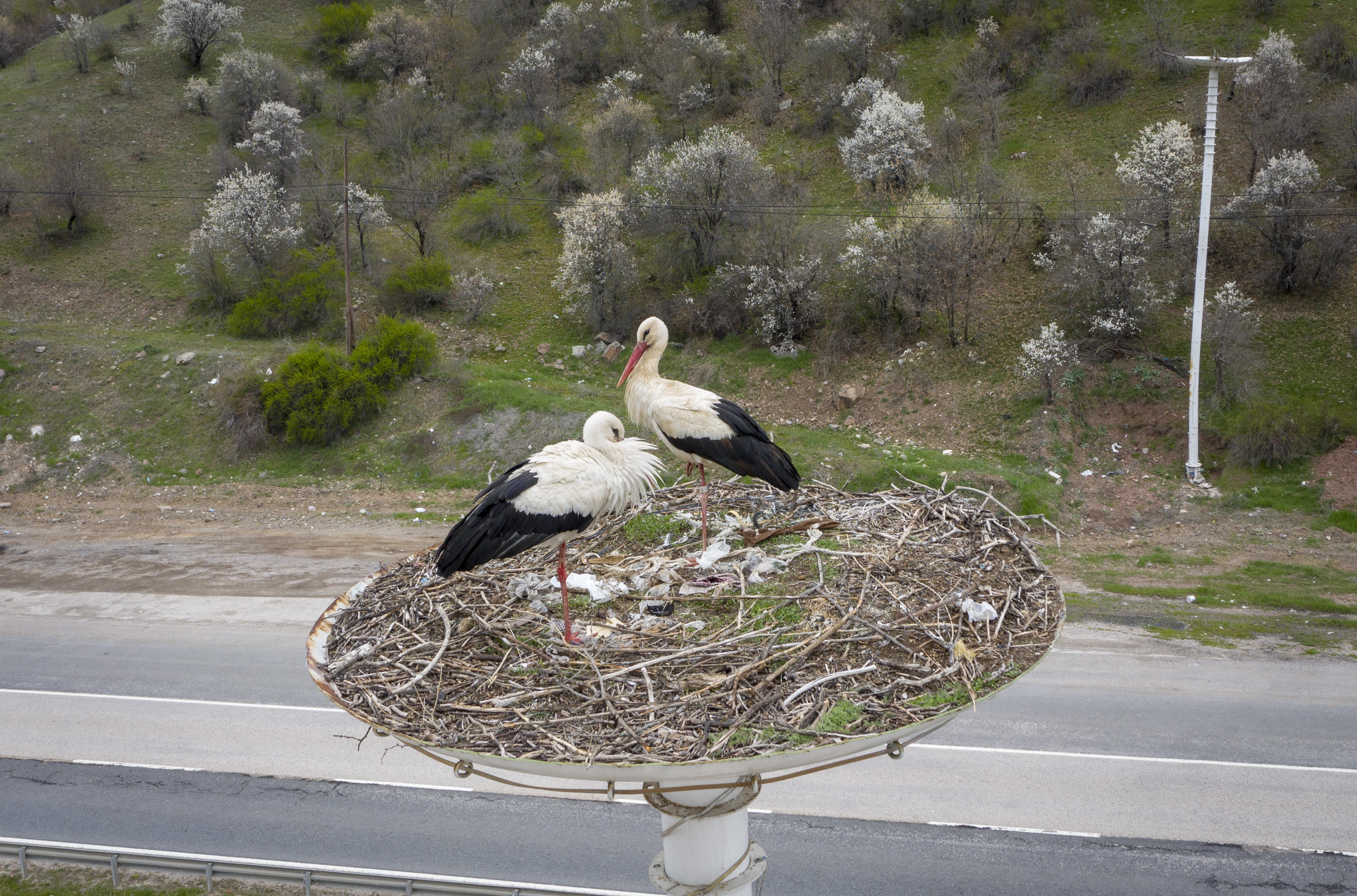 20200417_2_41953969_54012571