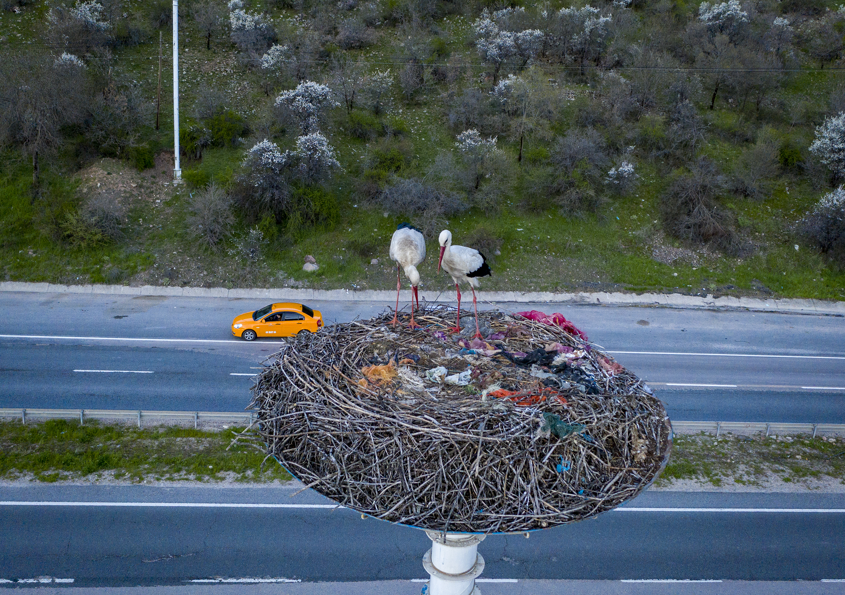 20200417_2_41953969_54012574