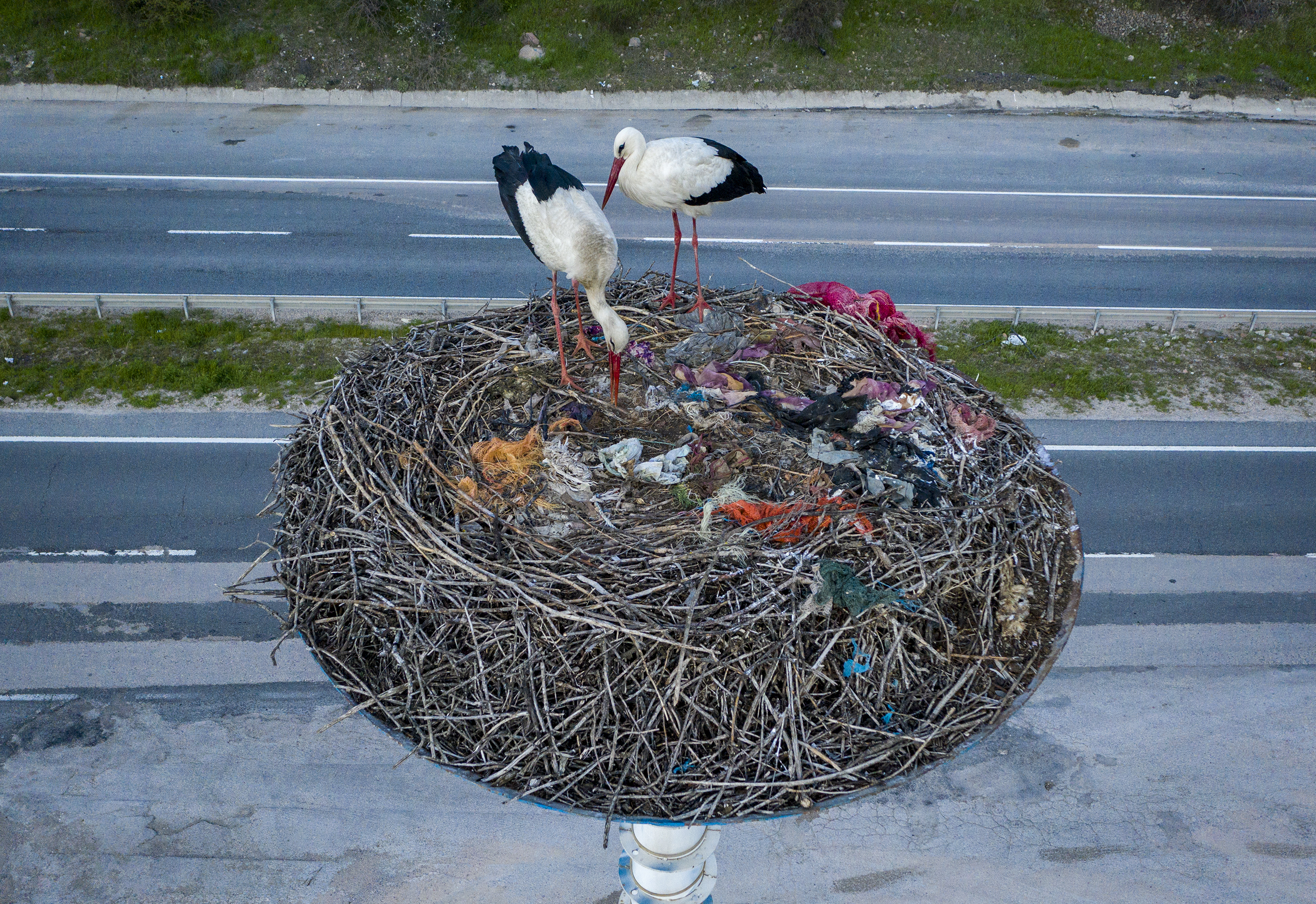 20200417_2_41953969_54012575