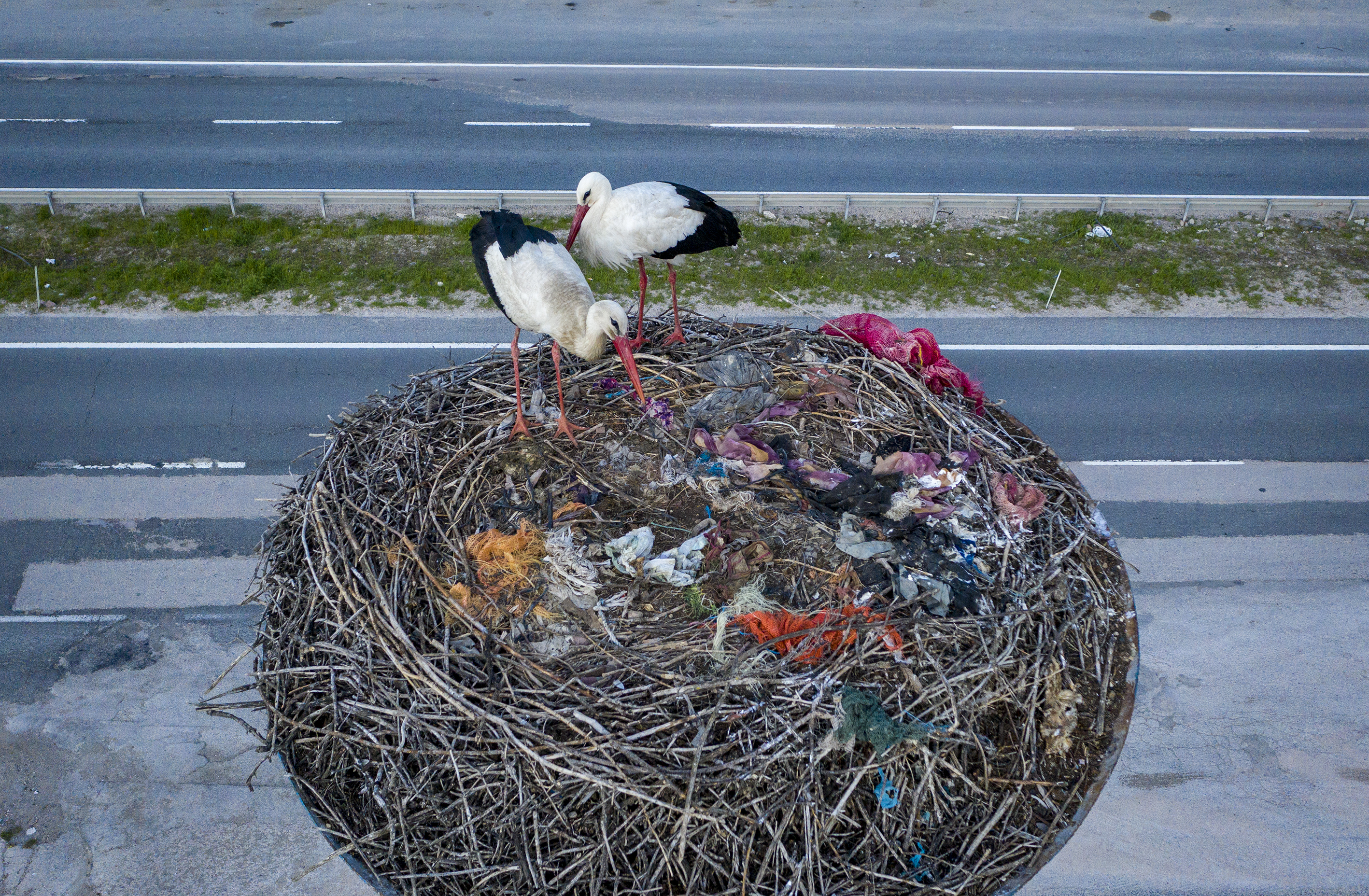 20200417_2_41953969_54012576