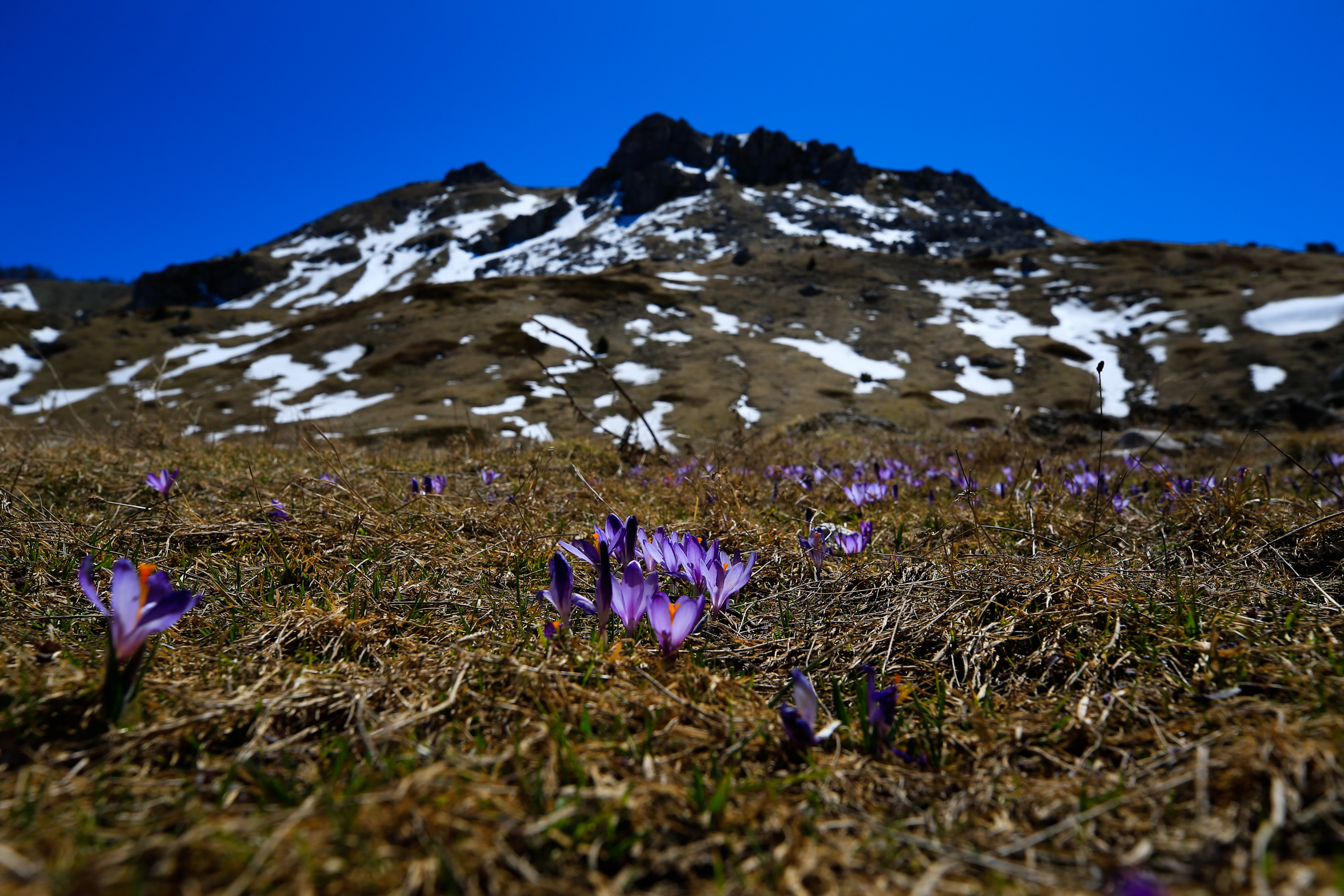 20200418_2_41964932_54031398