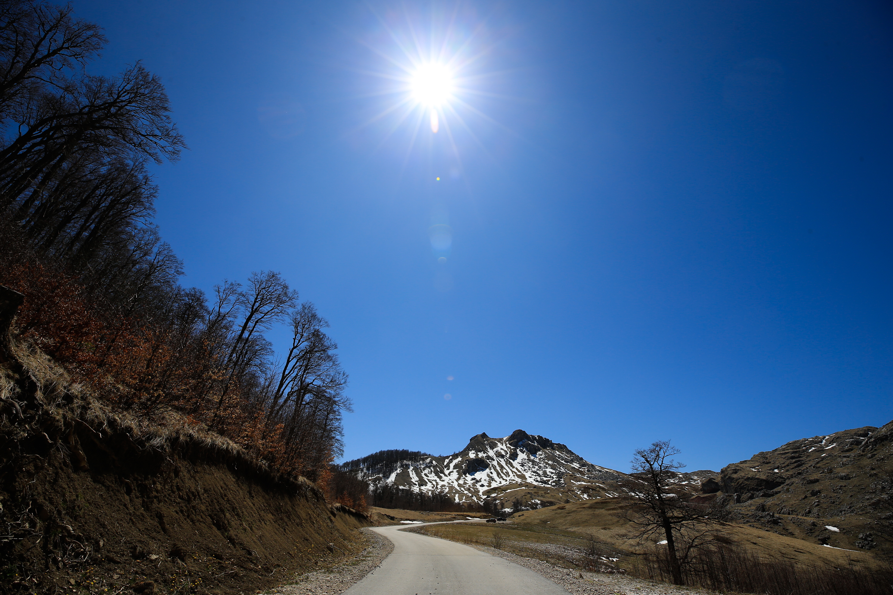 20200418_2_41964932_54031399