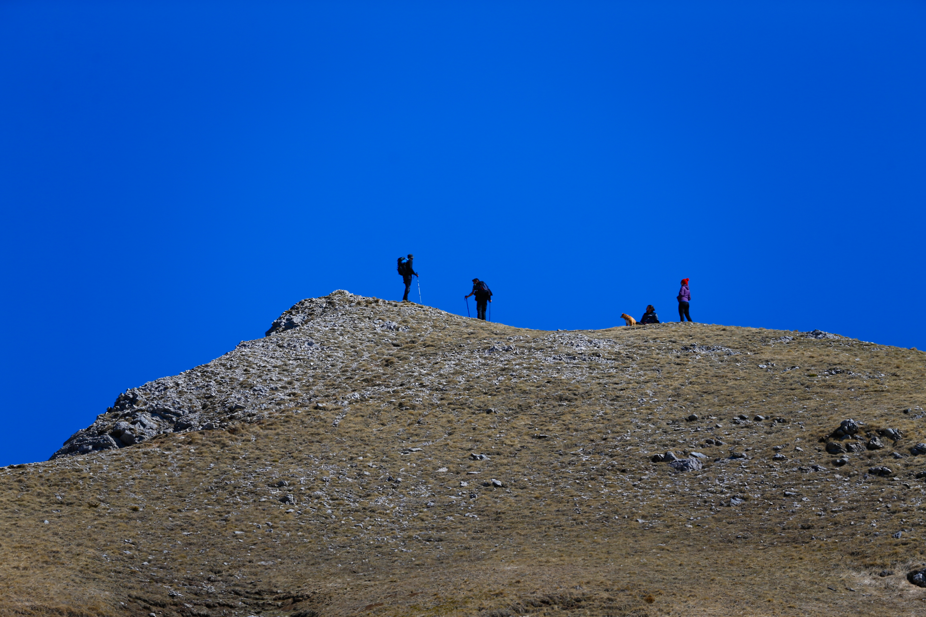 20200418_2_41964932_54031400