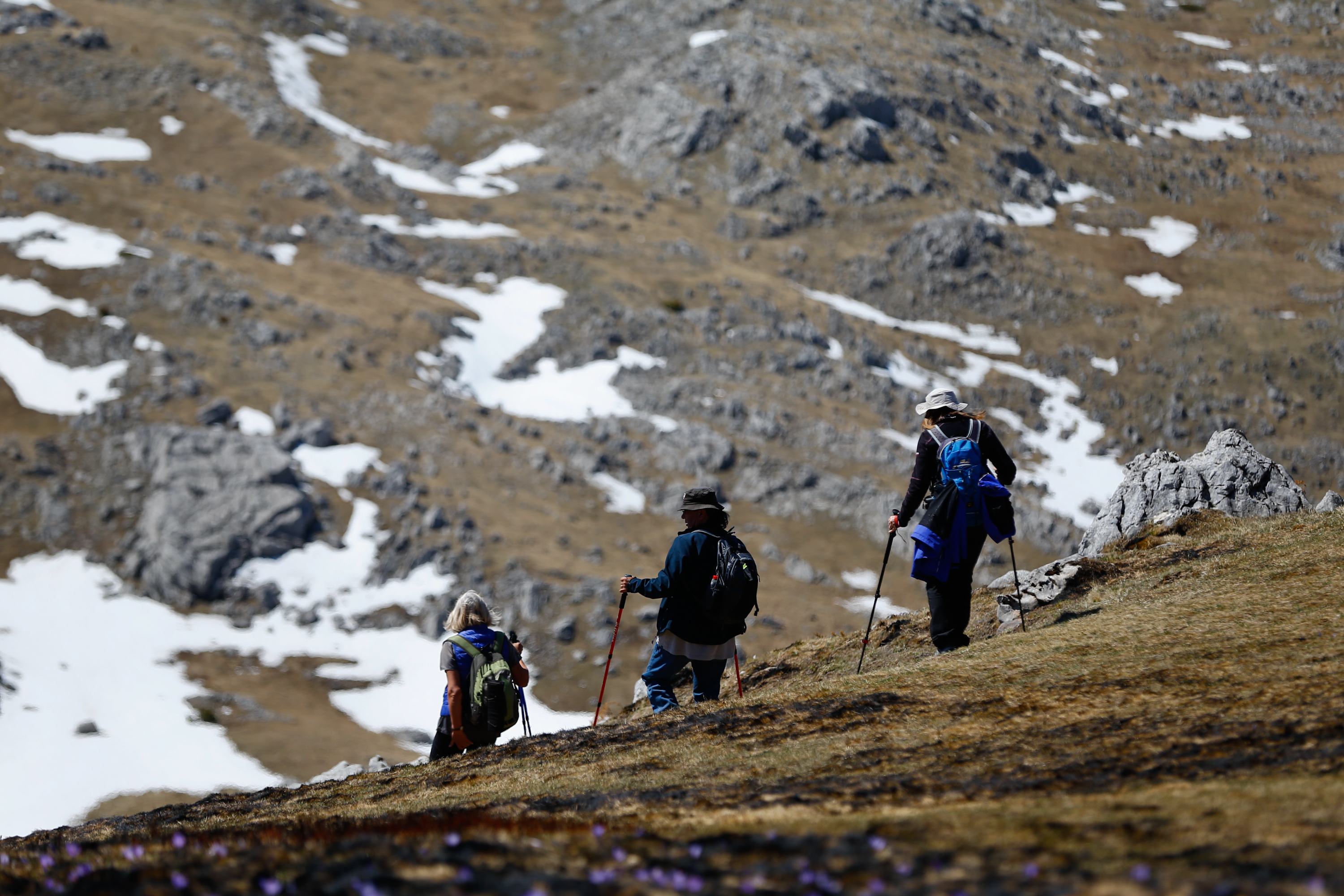 20200418_2_41964932_54031403