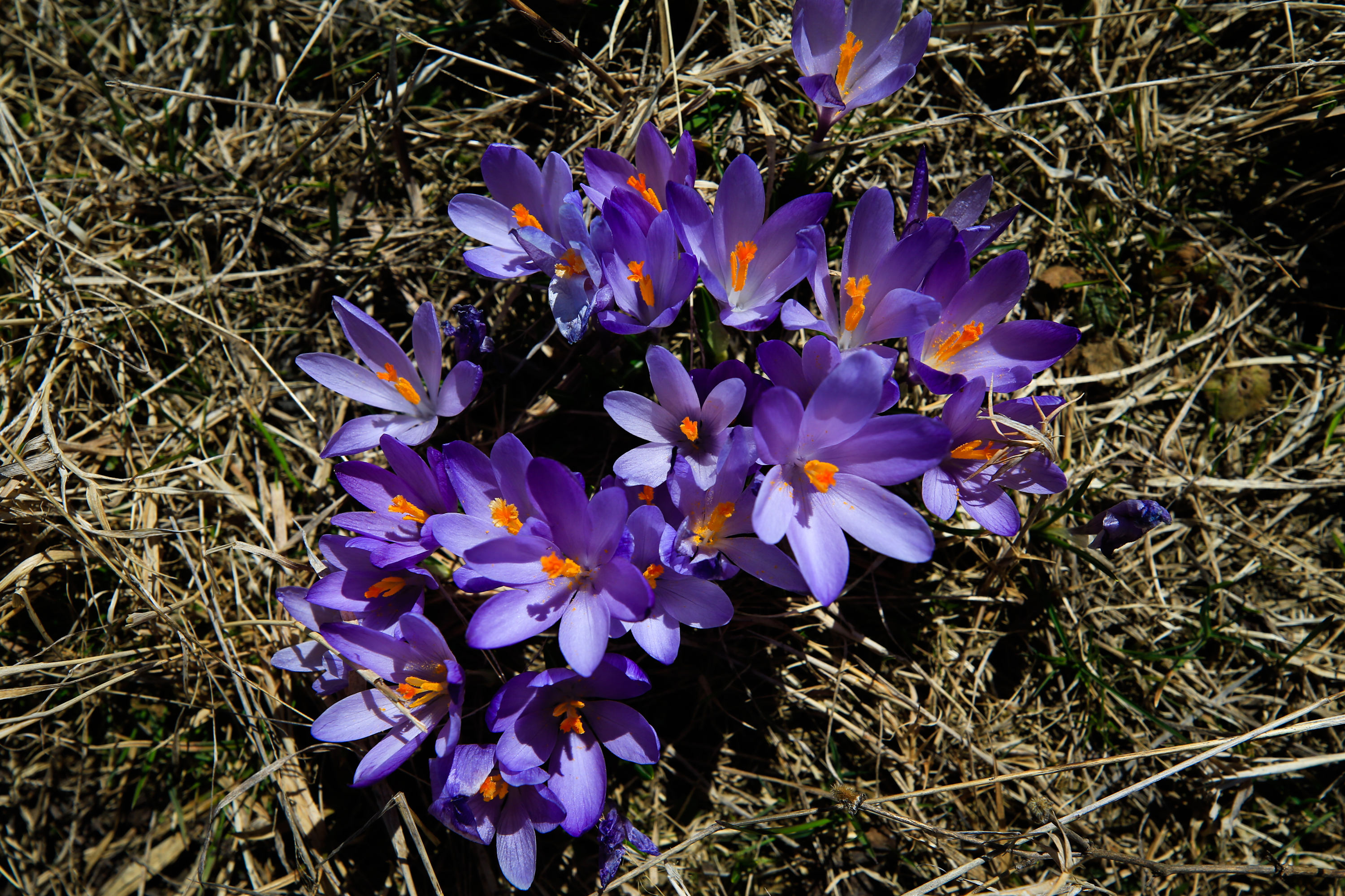 20200418_2_41964932_54031409