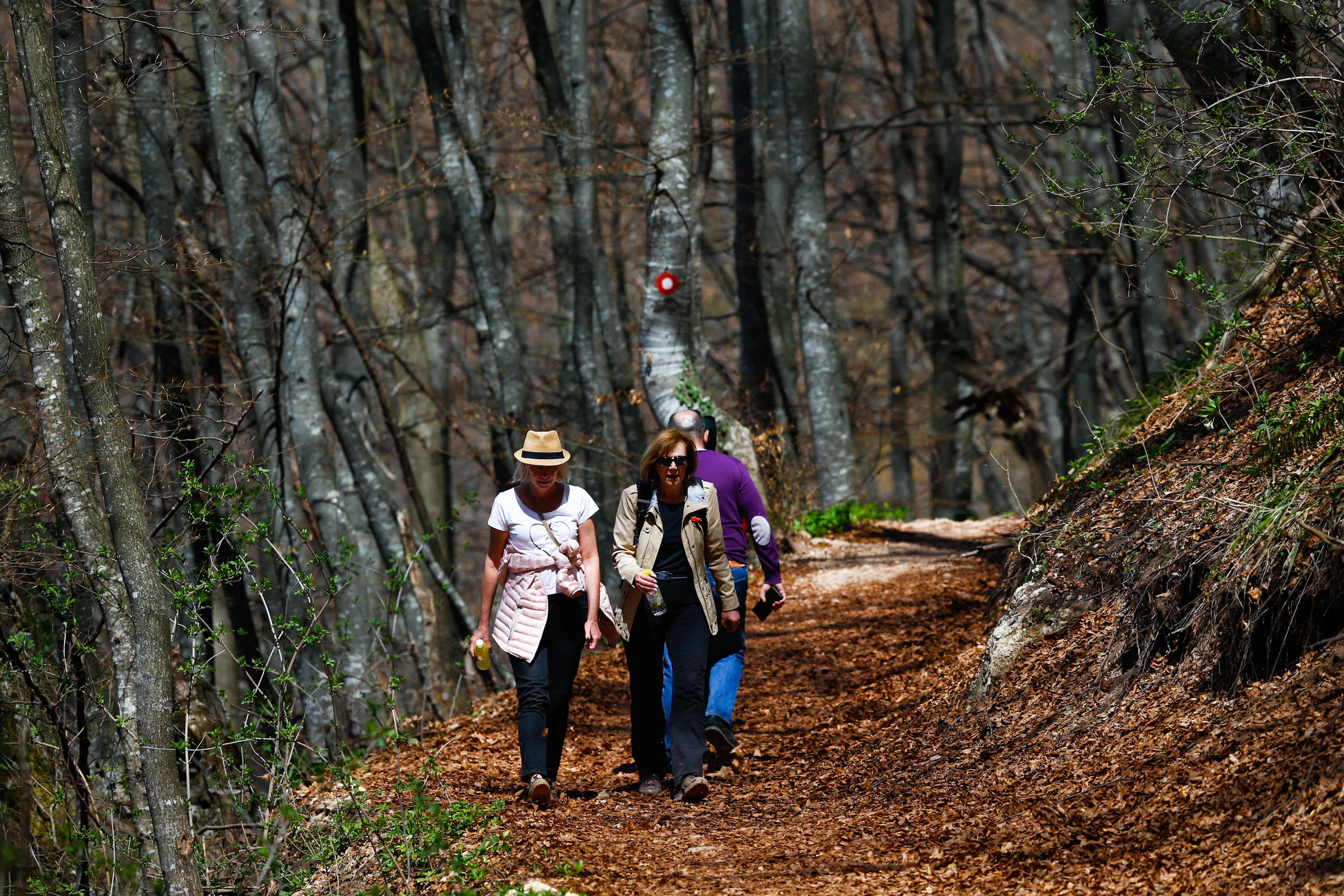 ANADOLIJA/Mustafa Öztürk