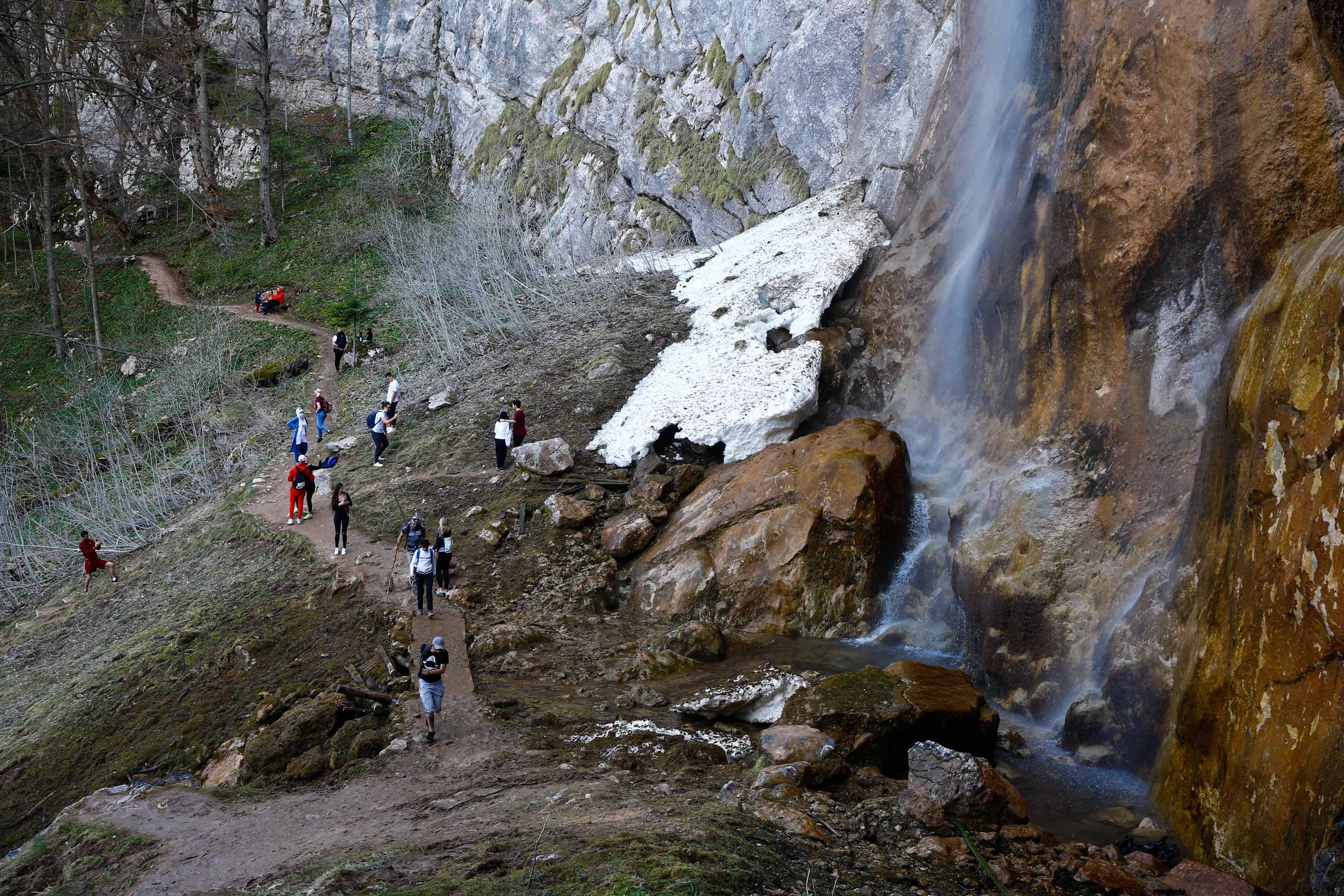 20200420_2_41990840_54086257