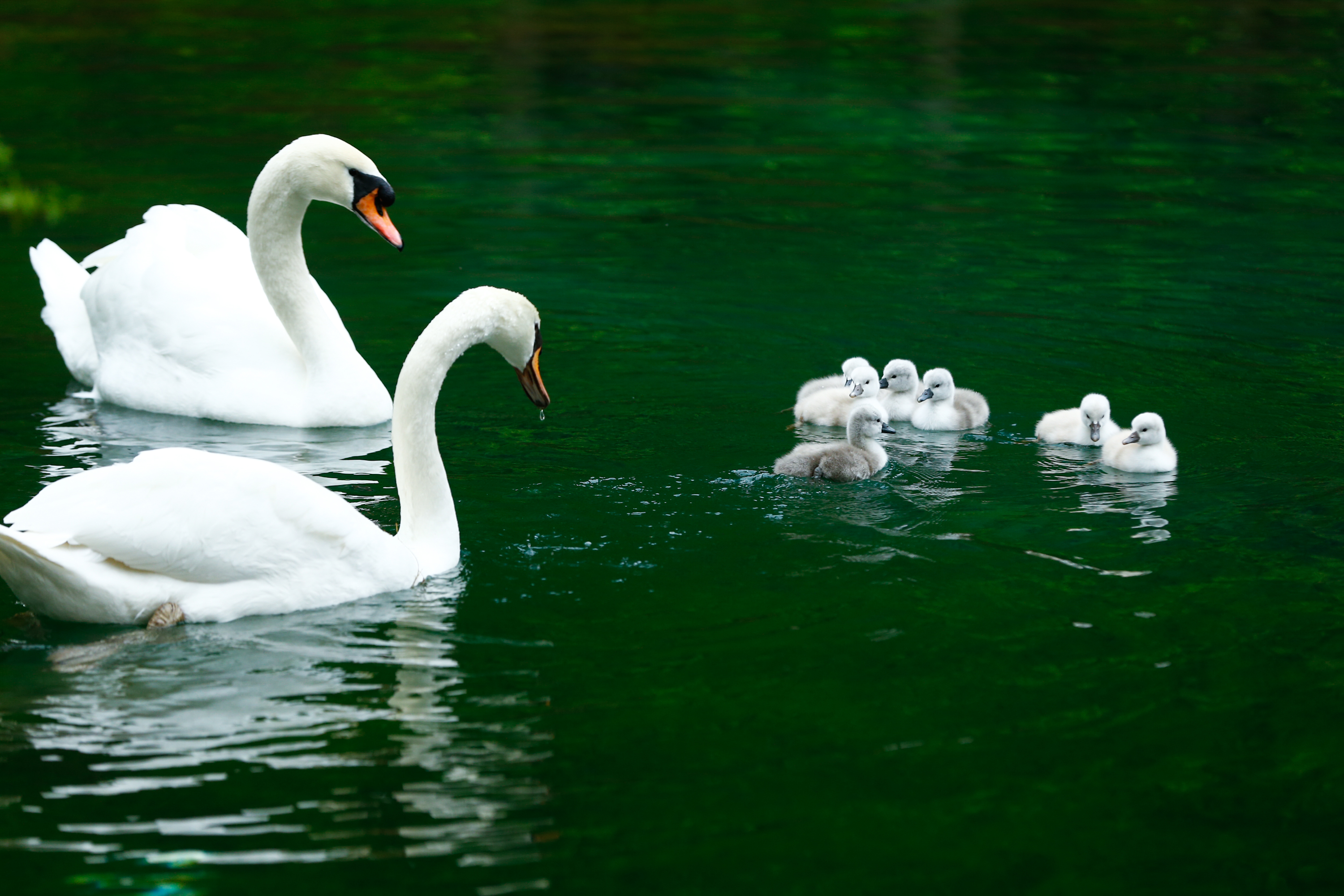 20200421_2_42013939_54120278