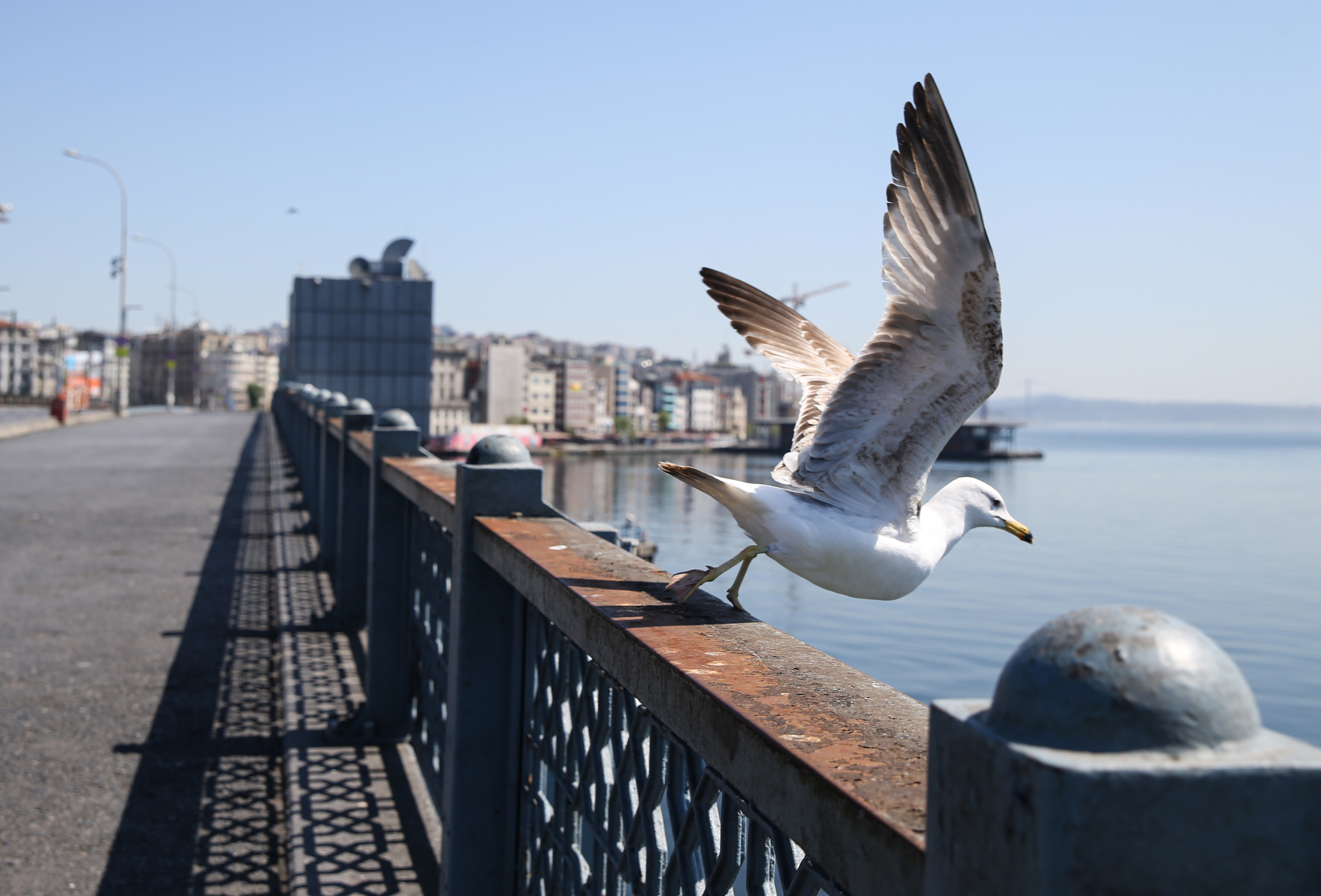 20200509_2_42339802_54717692