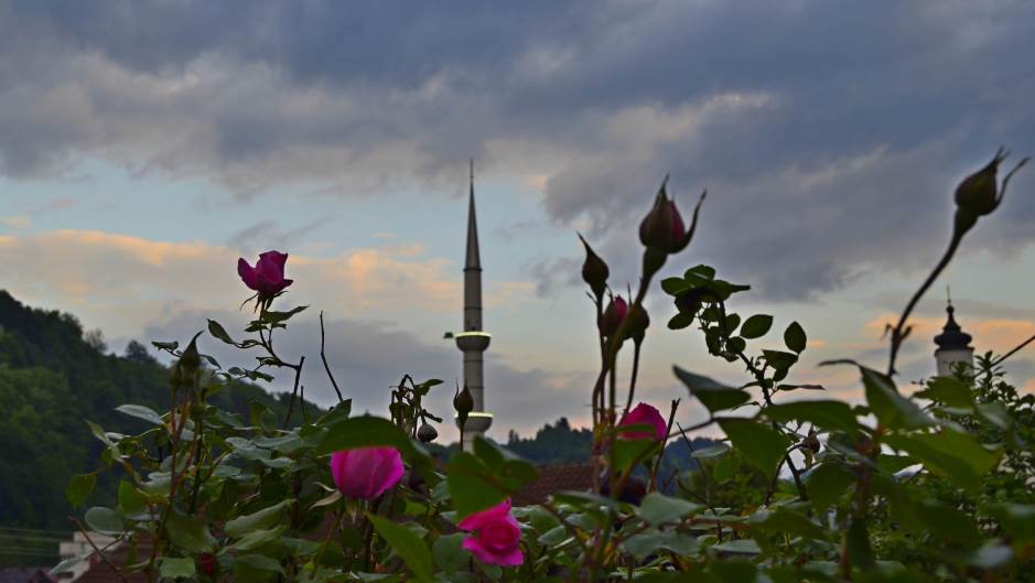 20200524_2_42604973_55239180