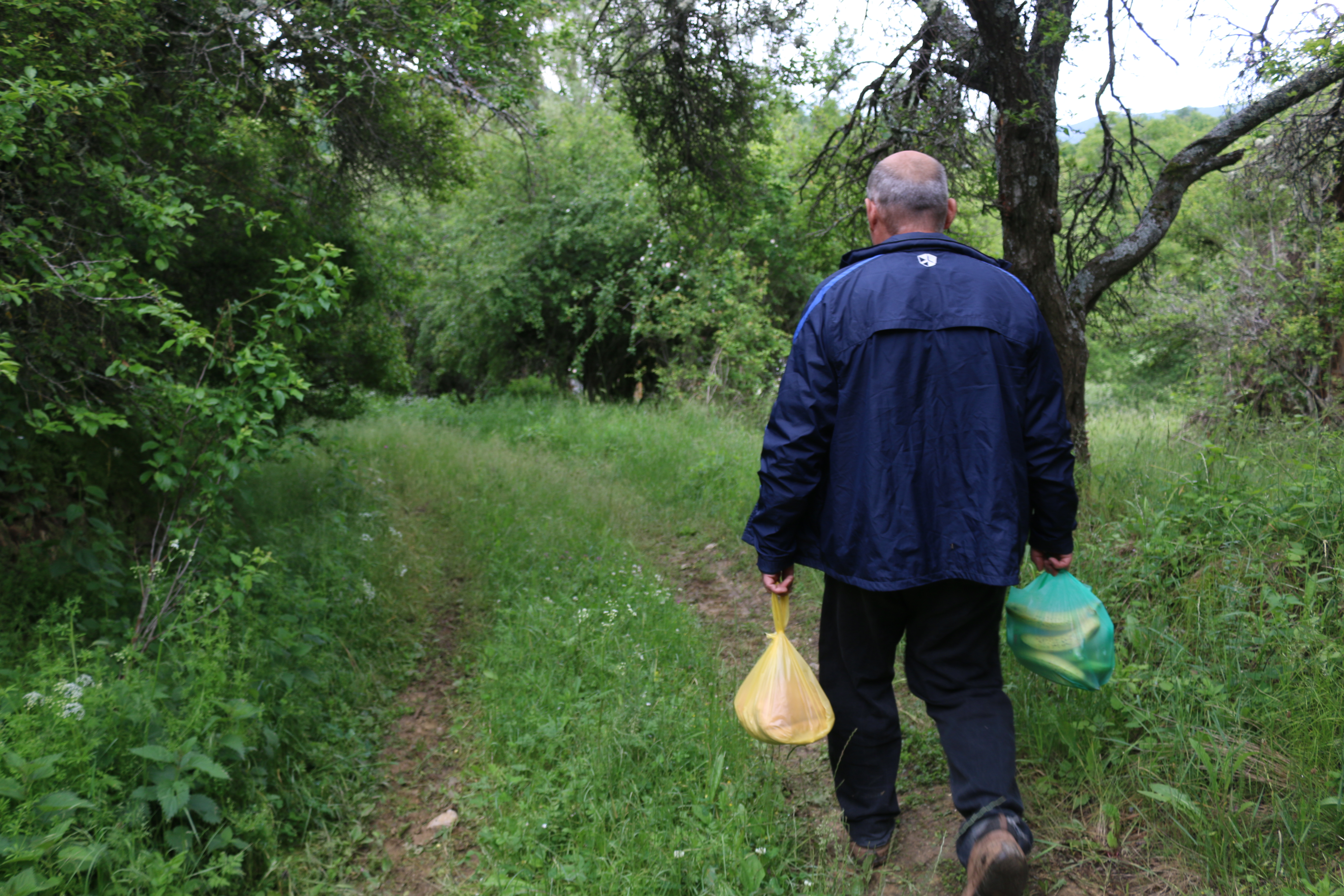 20200606_2_42825985_55681673