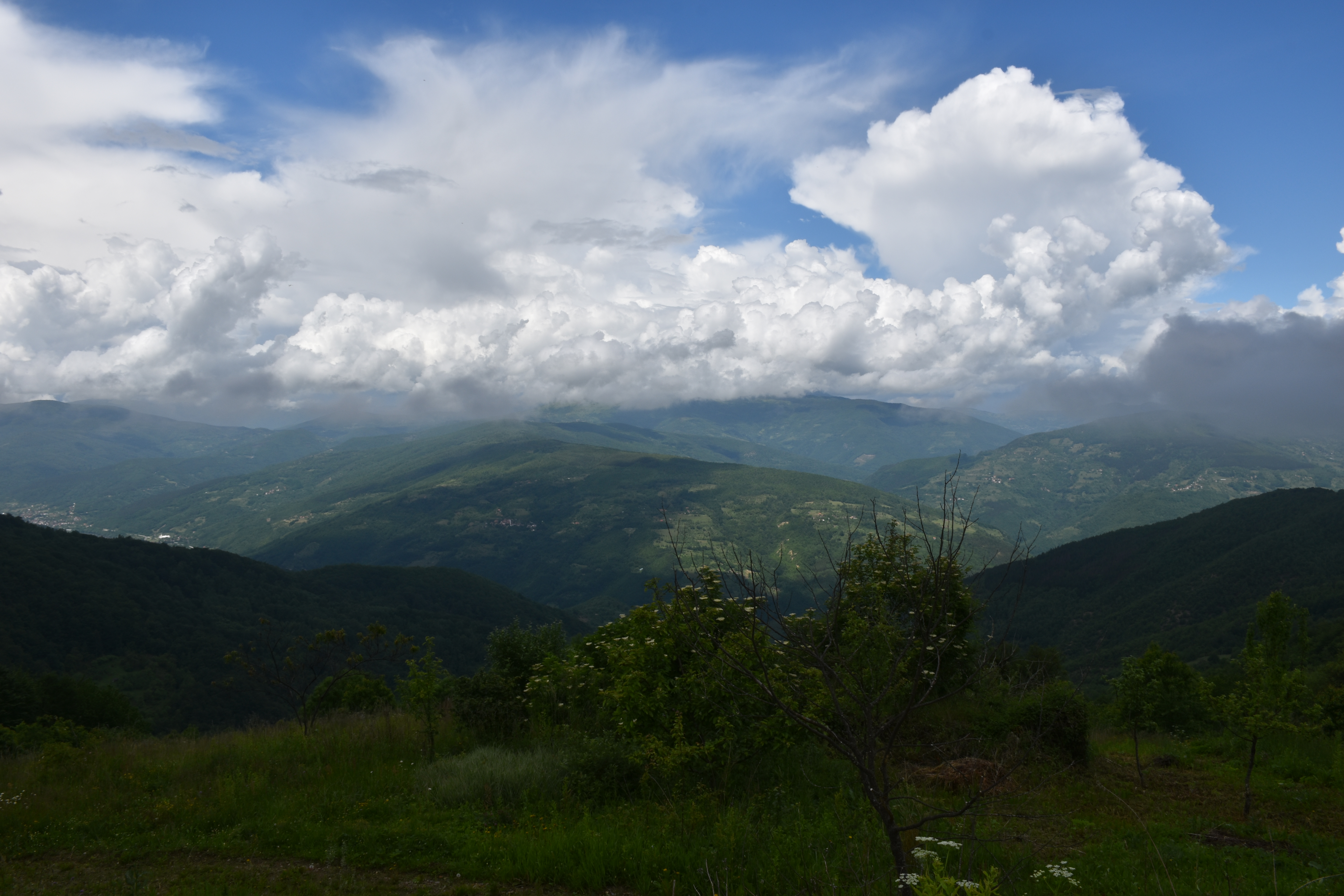 20200613_2_42940667_55885042