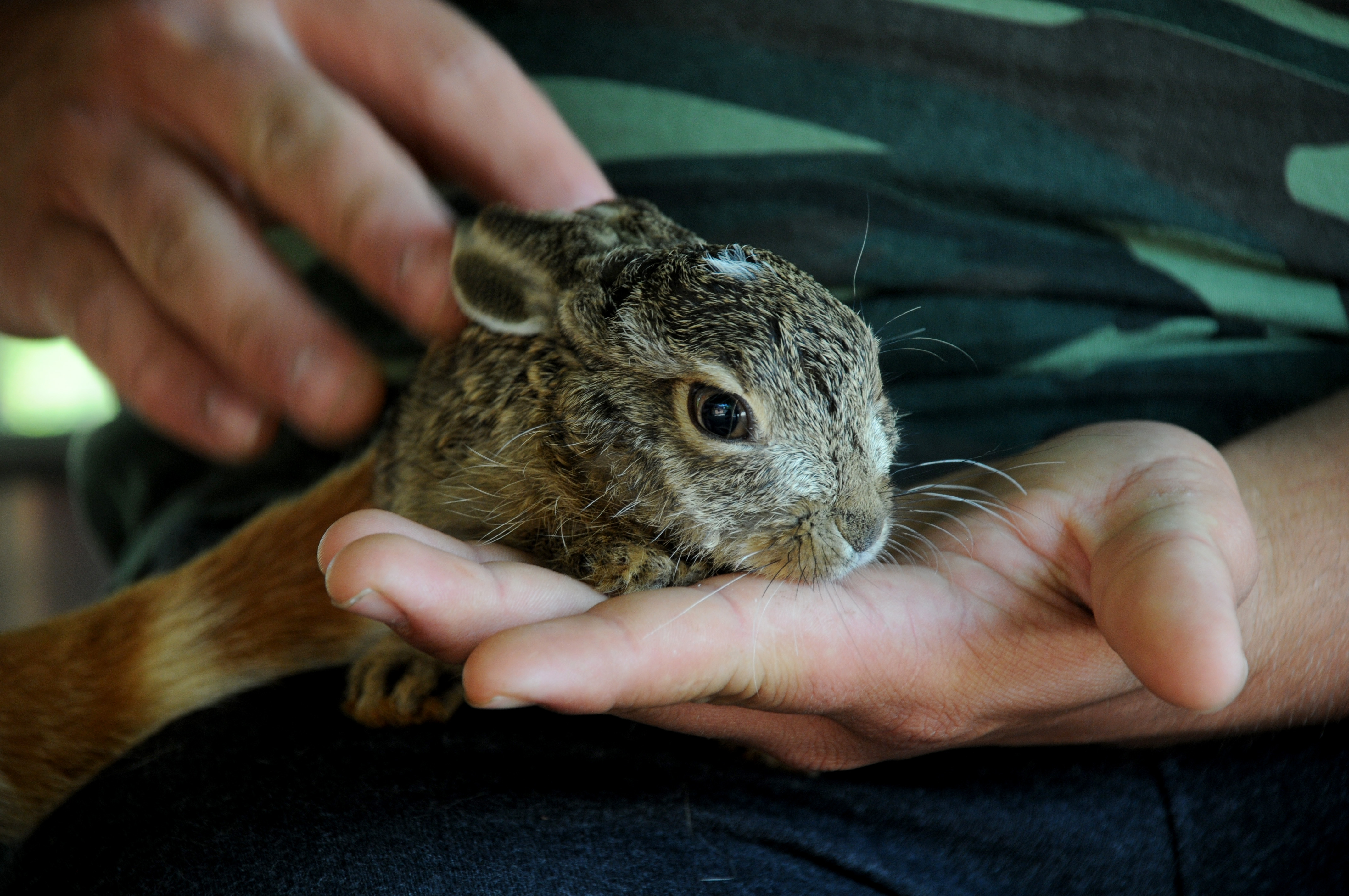 20200617_2_43004413_55996587