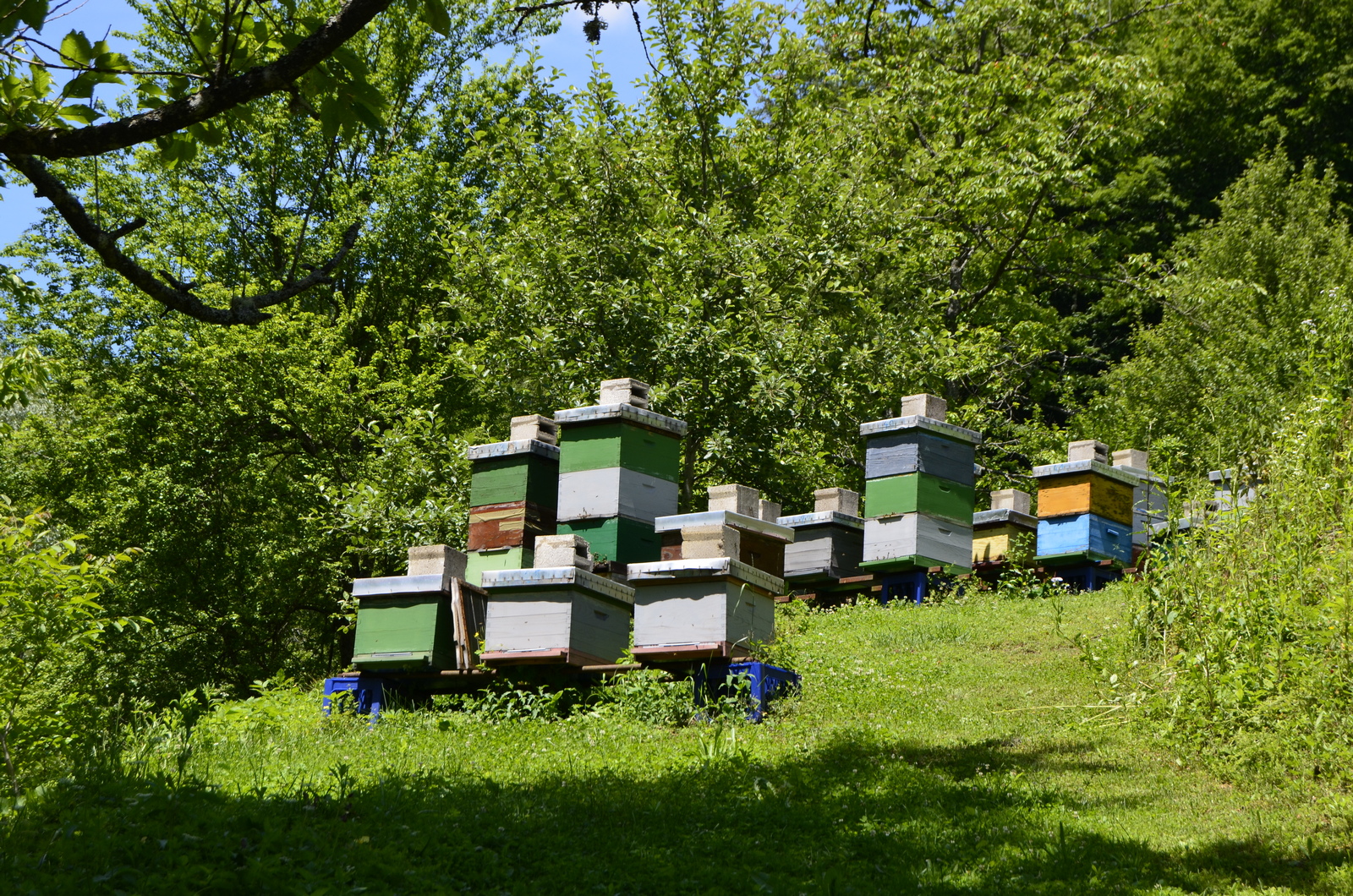 20200620_2_43057454_56081381