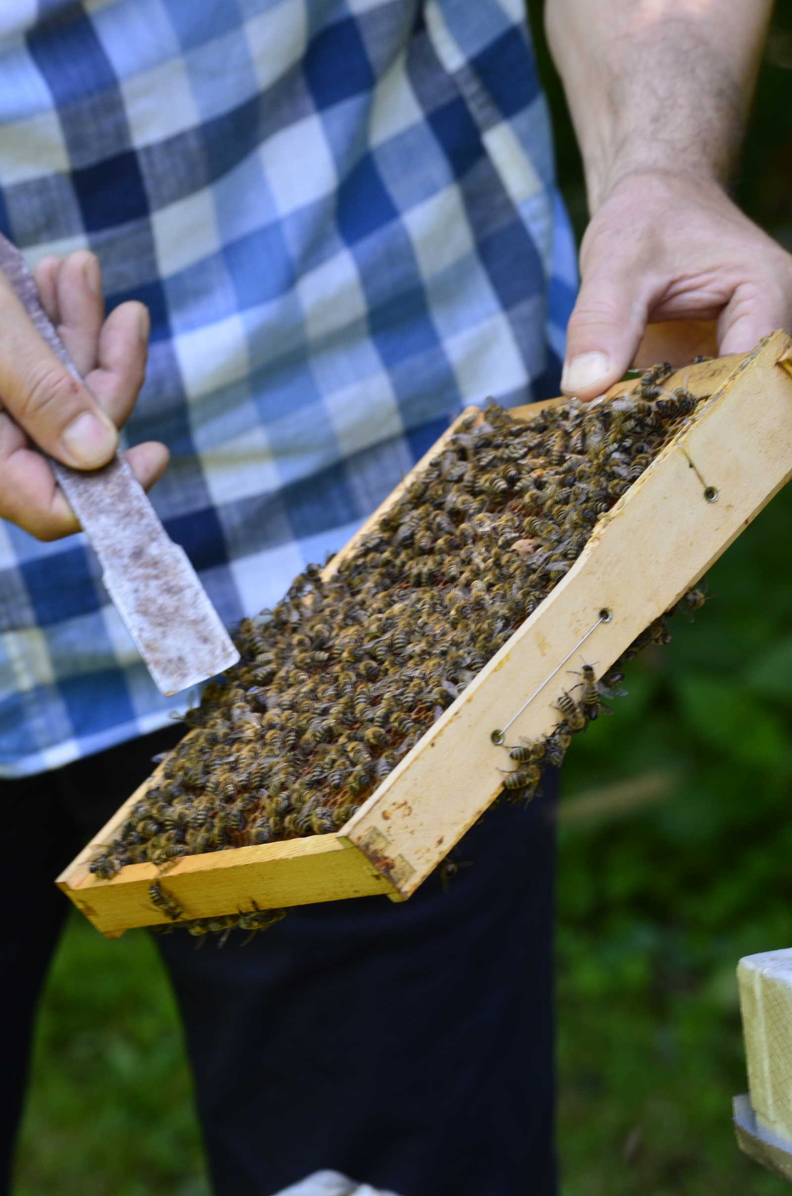 20200620_2_43057454_56081384