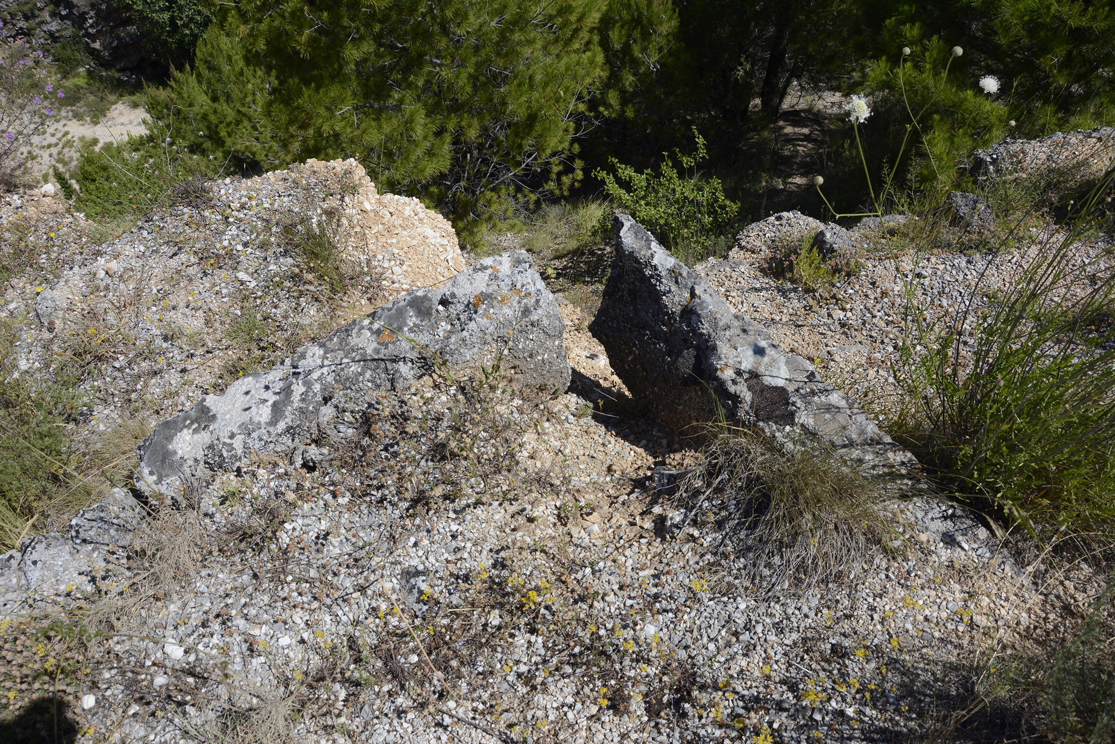 20200709_2_43361165_56559251