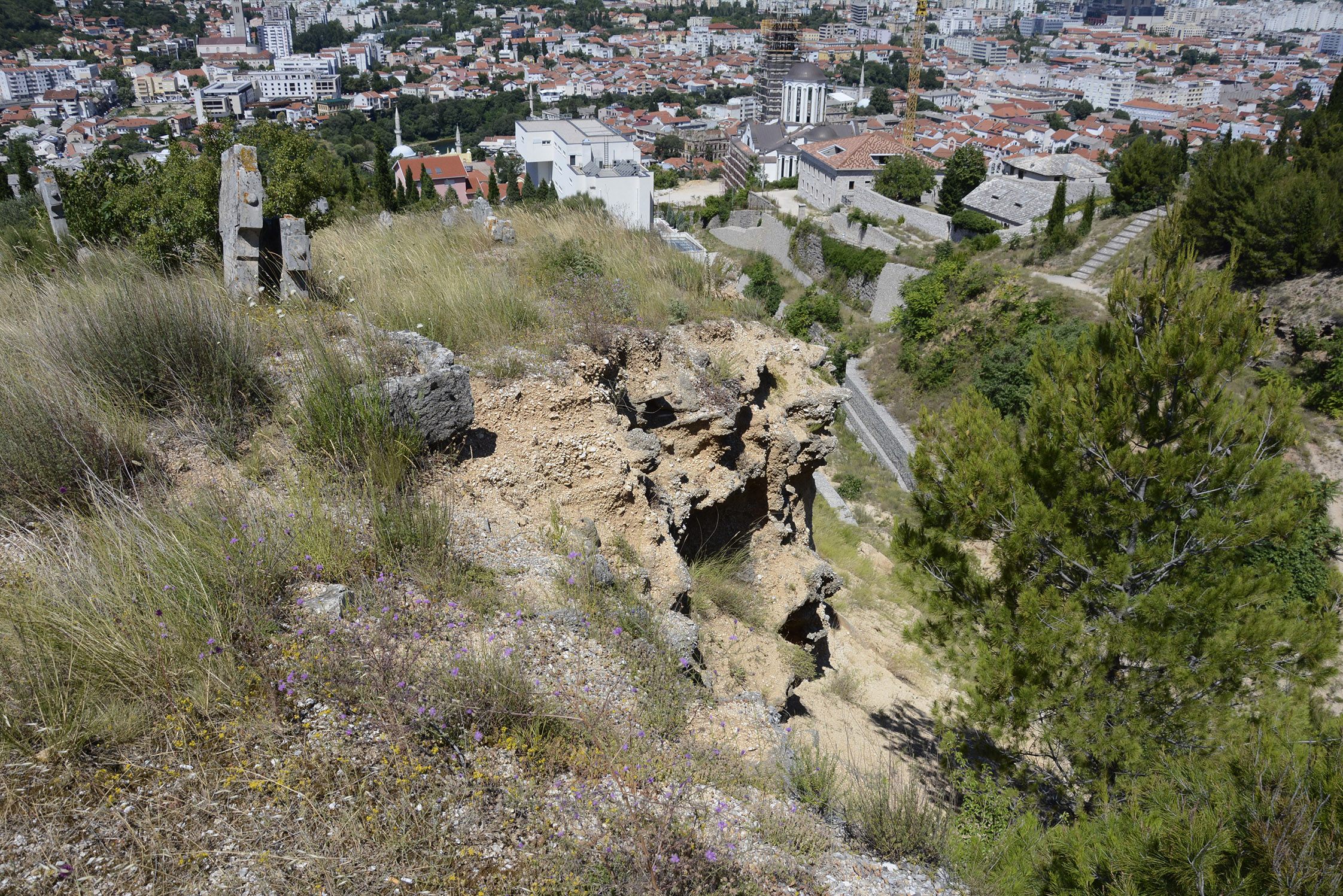 20200709_2_43361165_56559254