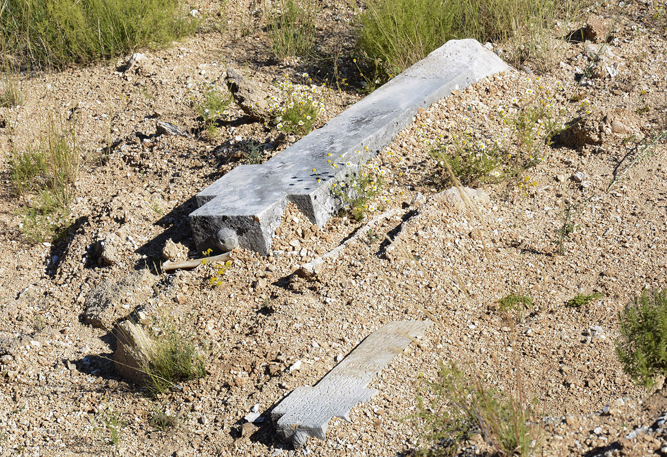 20200709_2_43361165_56559255